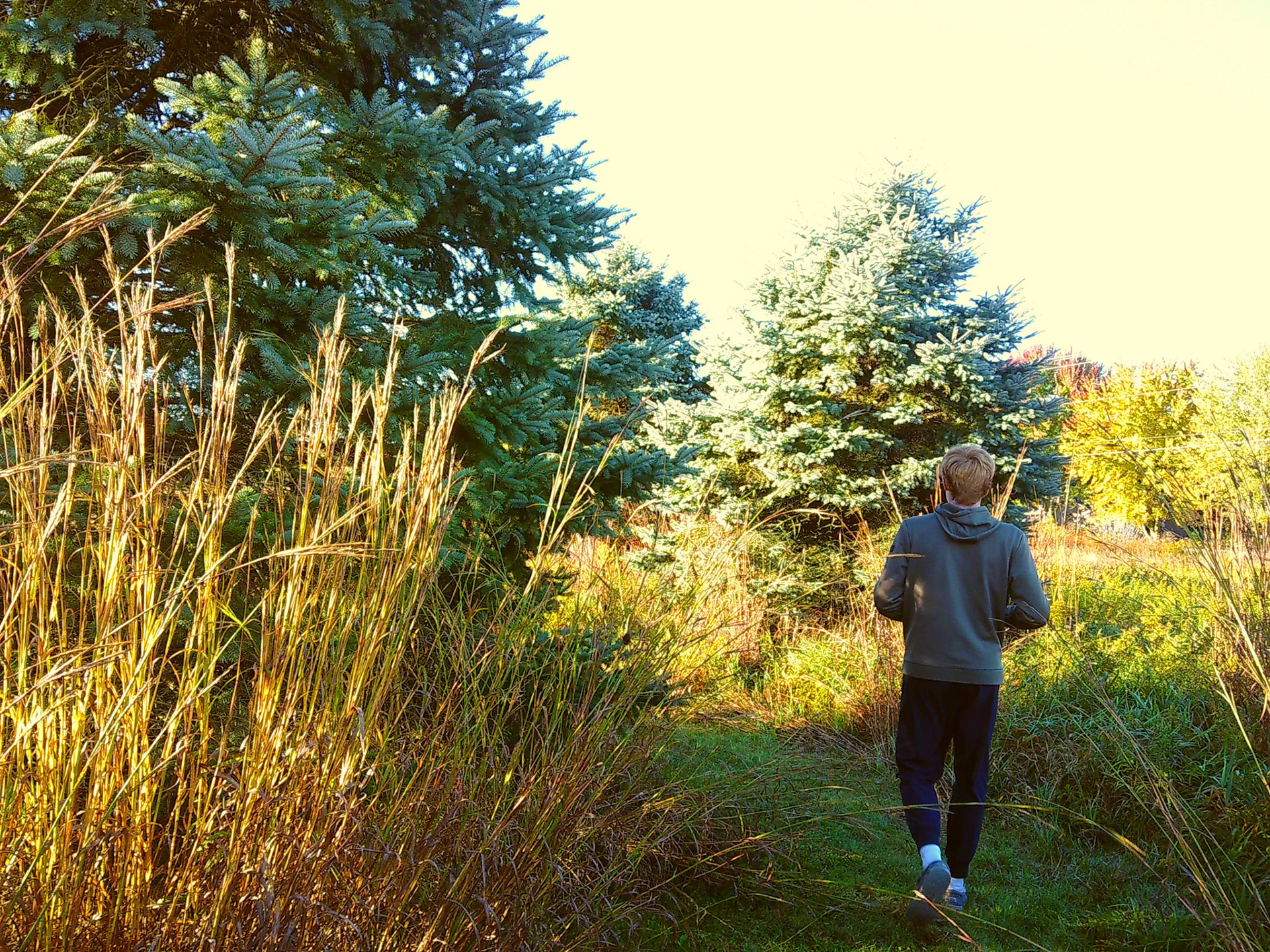 (Photo by Joe Visel)