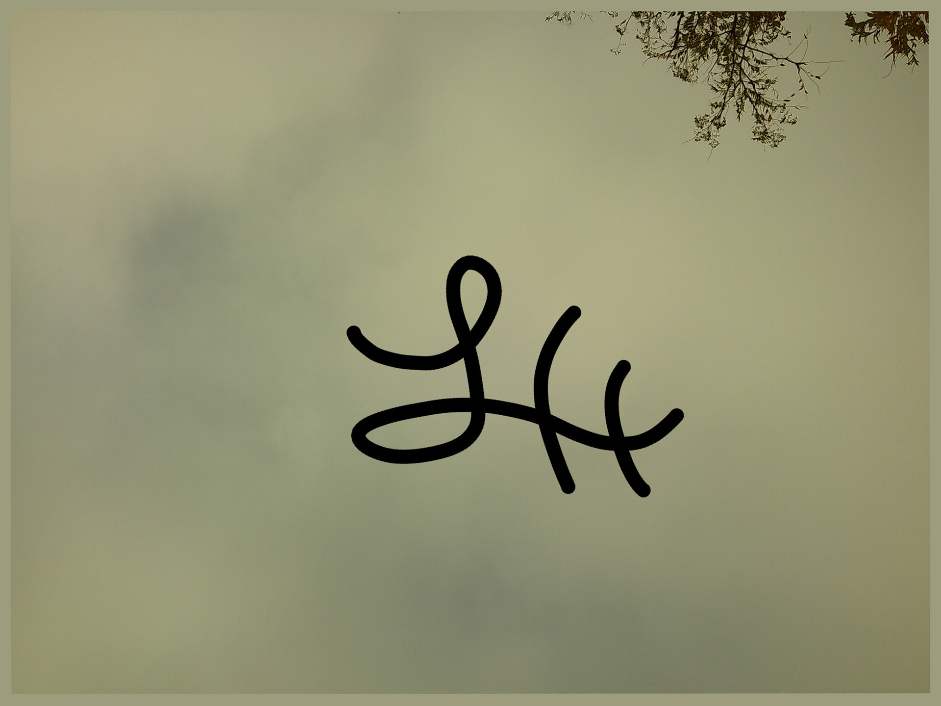 Graphic Design (Colyn Grasman)