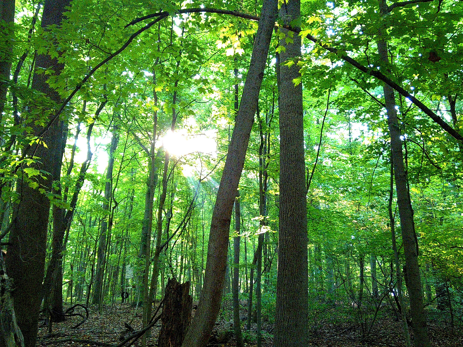 (Photo by Ayla Gerken)