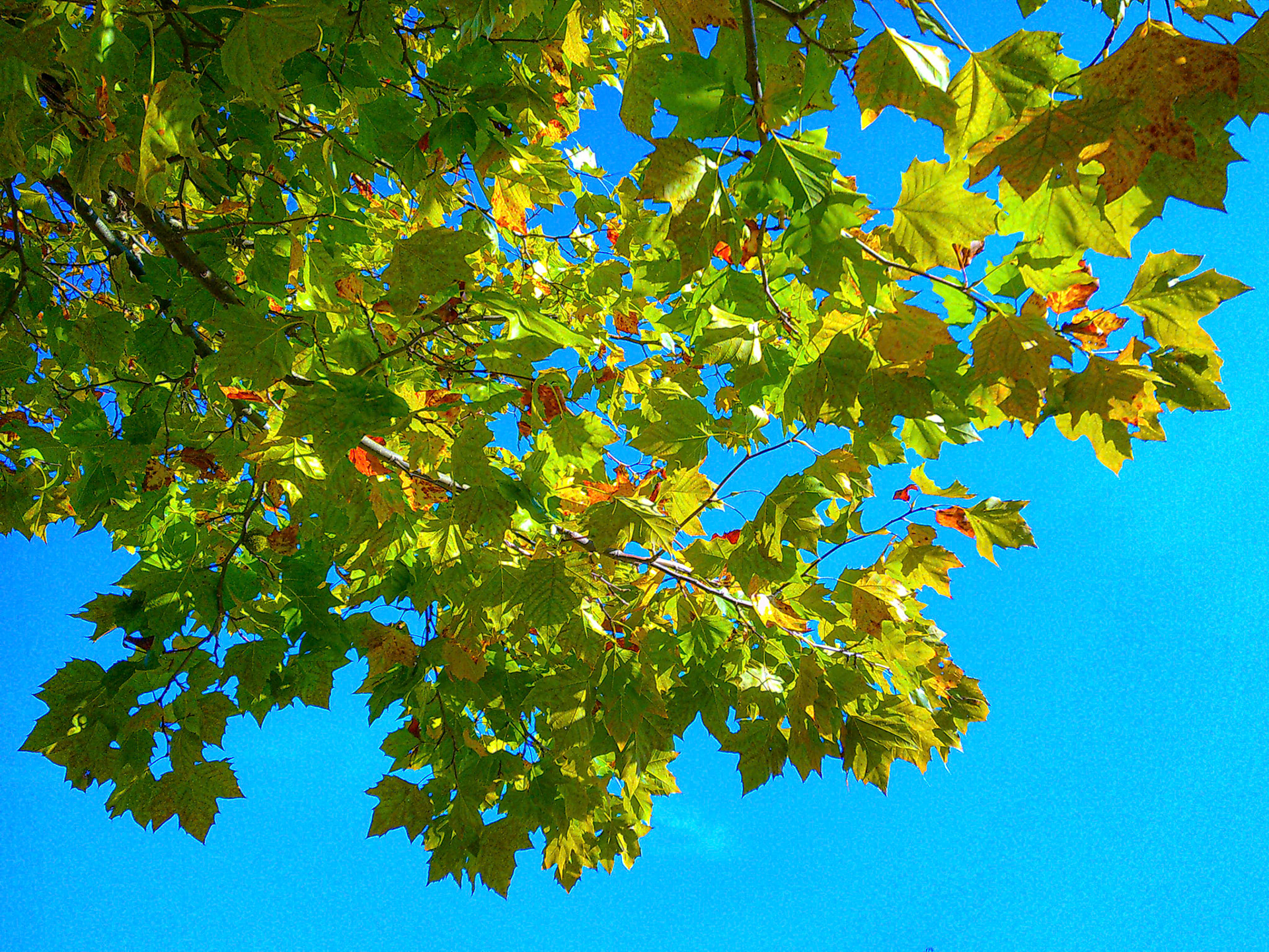 (Photo by Hunter Creguer)