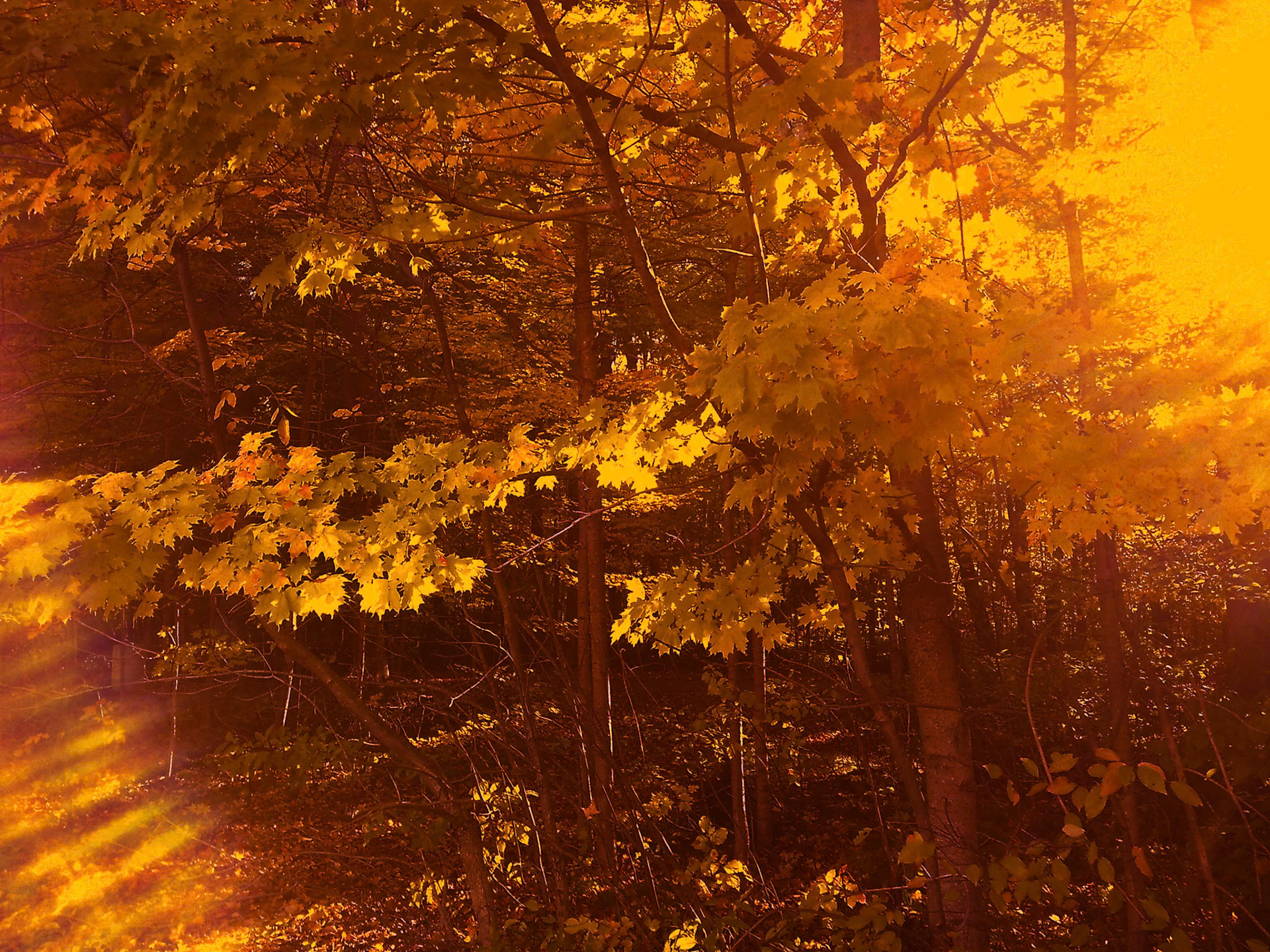 (Photo by Erik Cove)