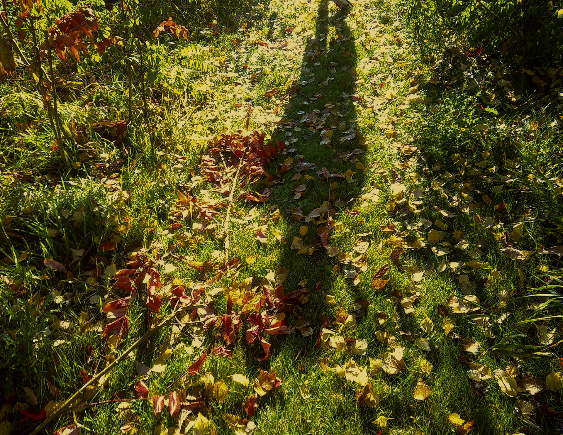 (Photo by Lena Gesing)