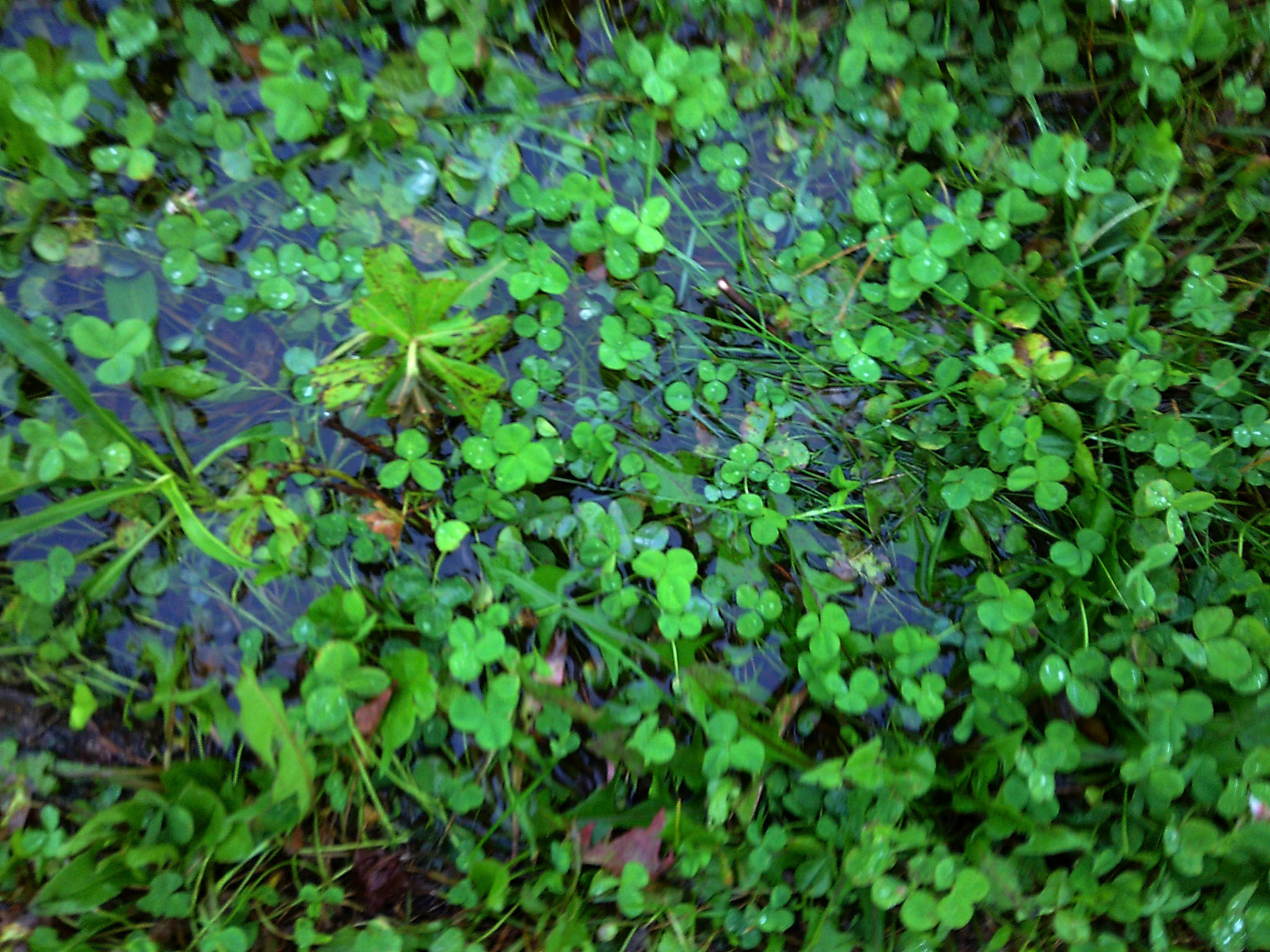 (Photo by Ayla Gerken)