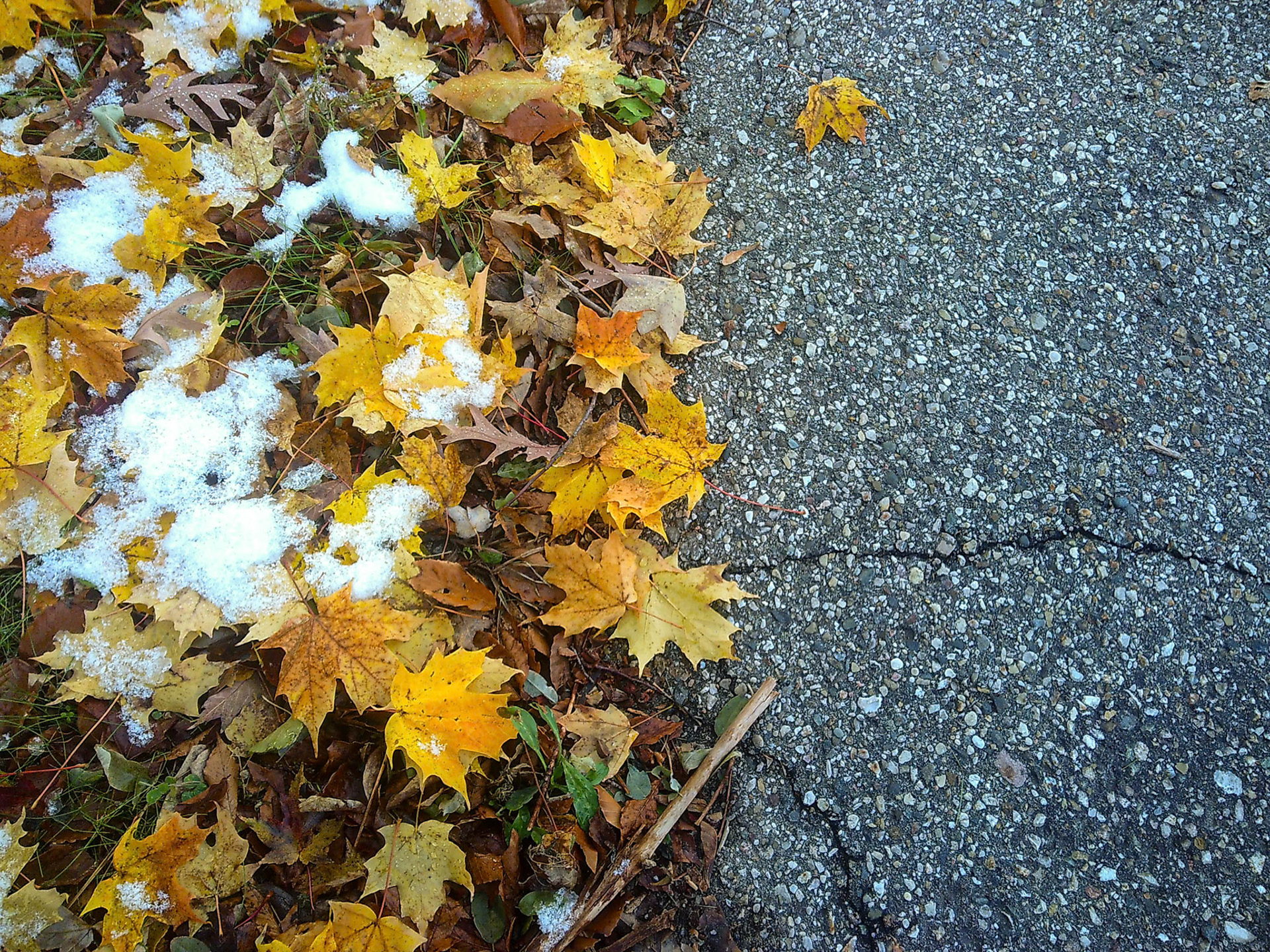 (Photo by Erik Cove)