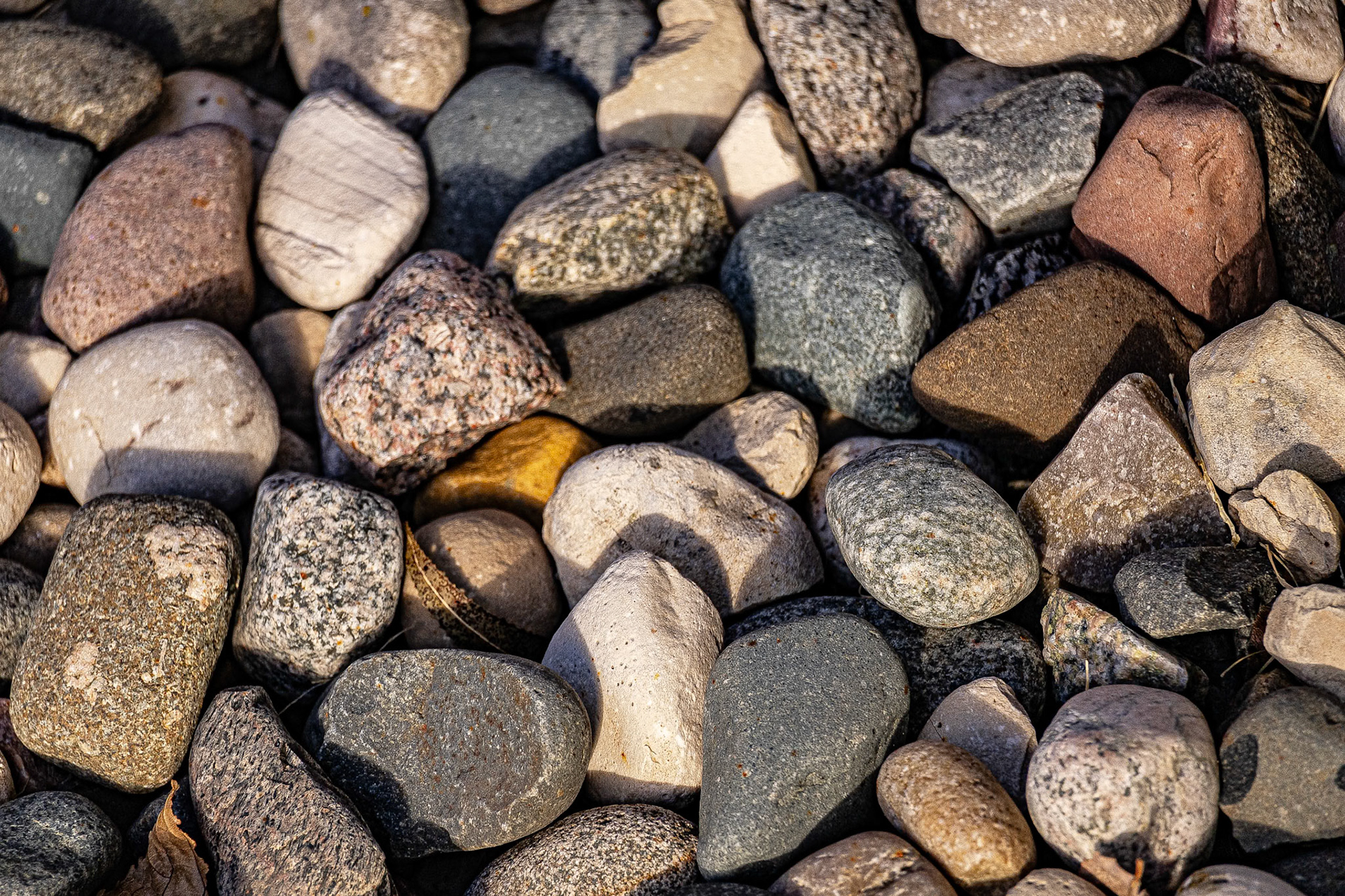 (Photo by Owen Rounds)