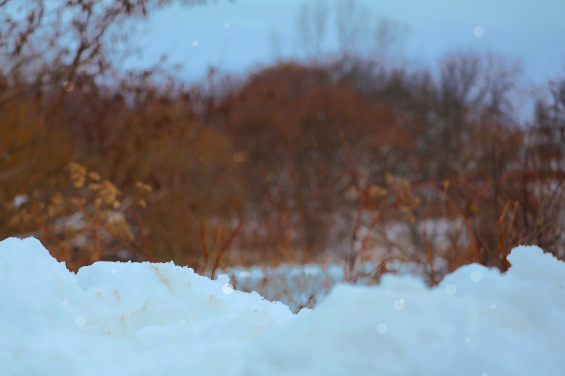 (Photo by Ayla Gerken)