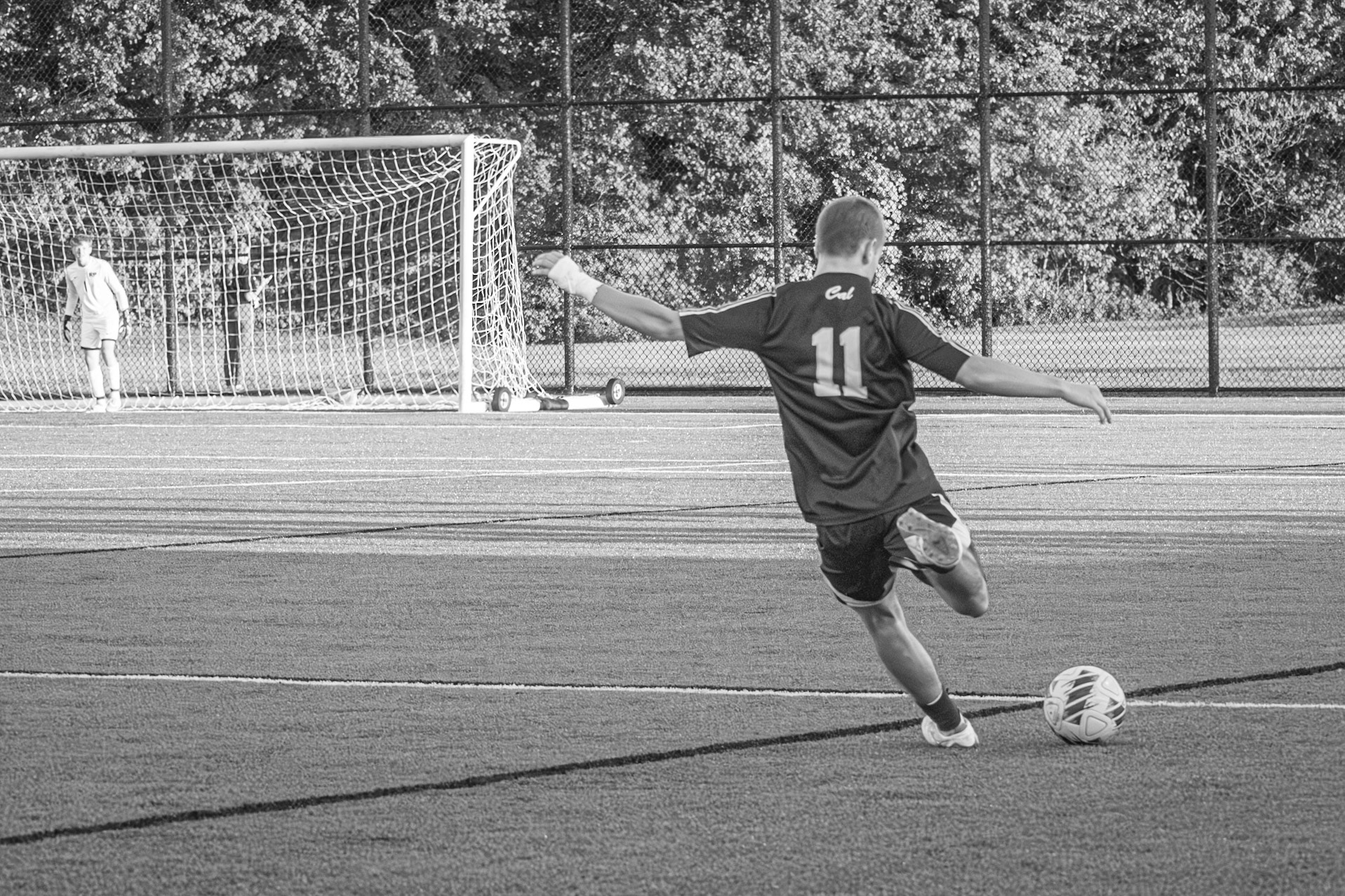 FVS6