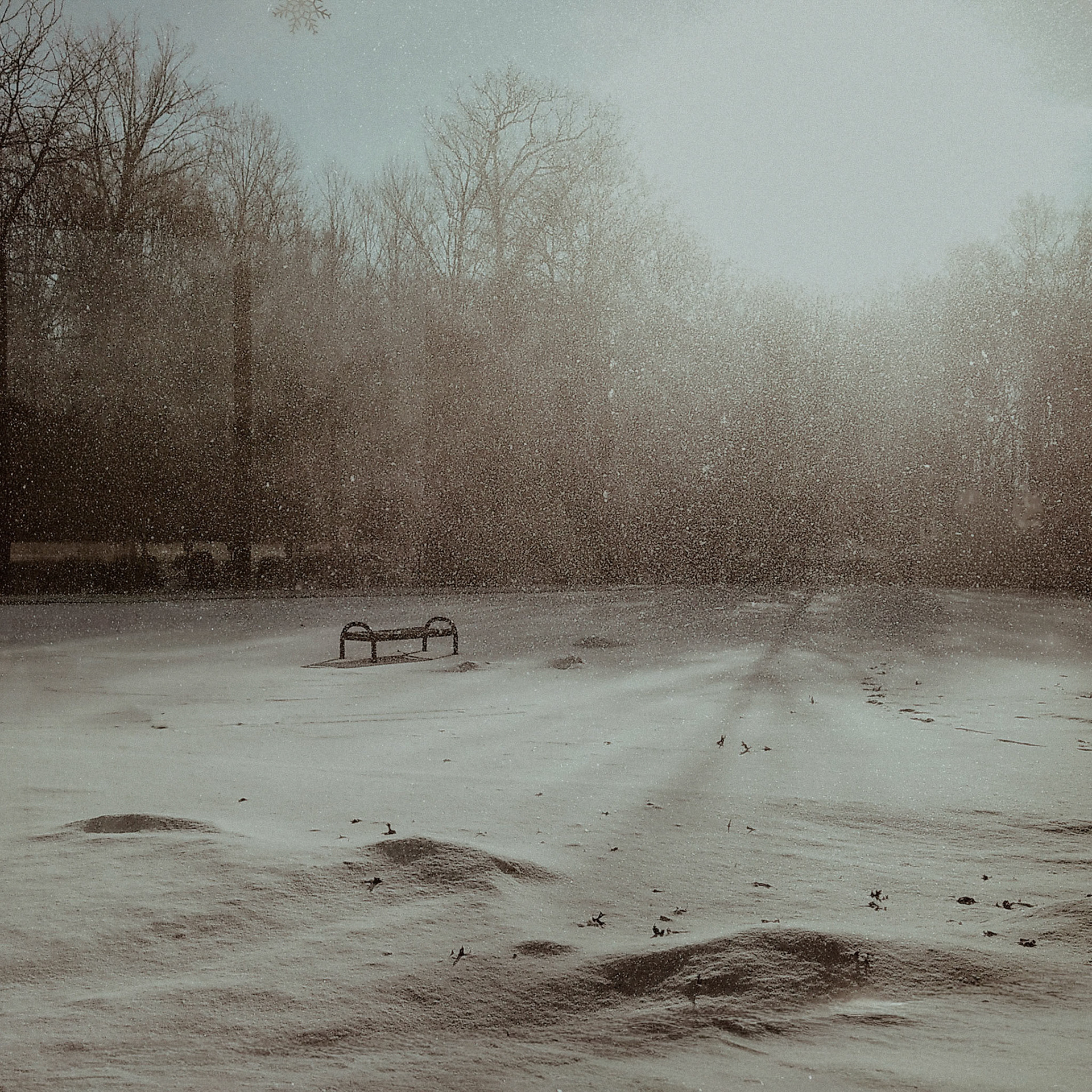 (Photo by Draven Reid)