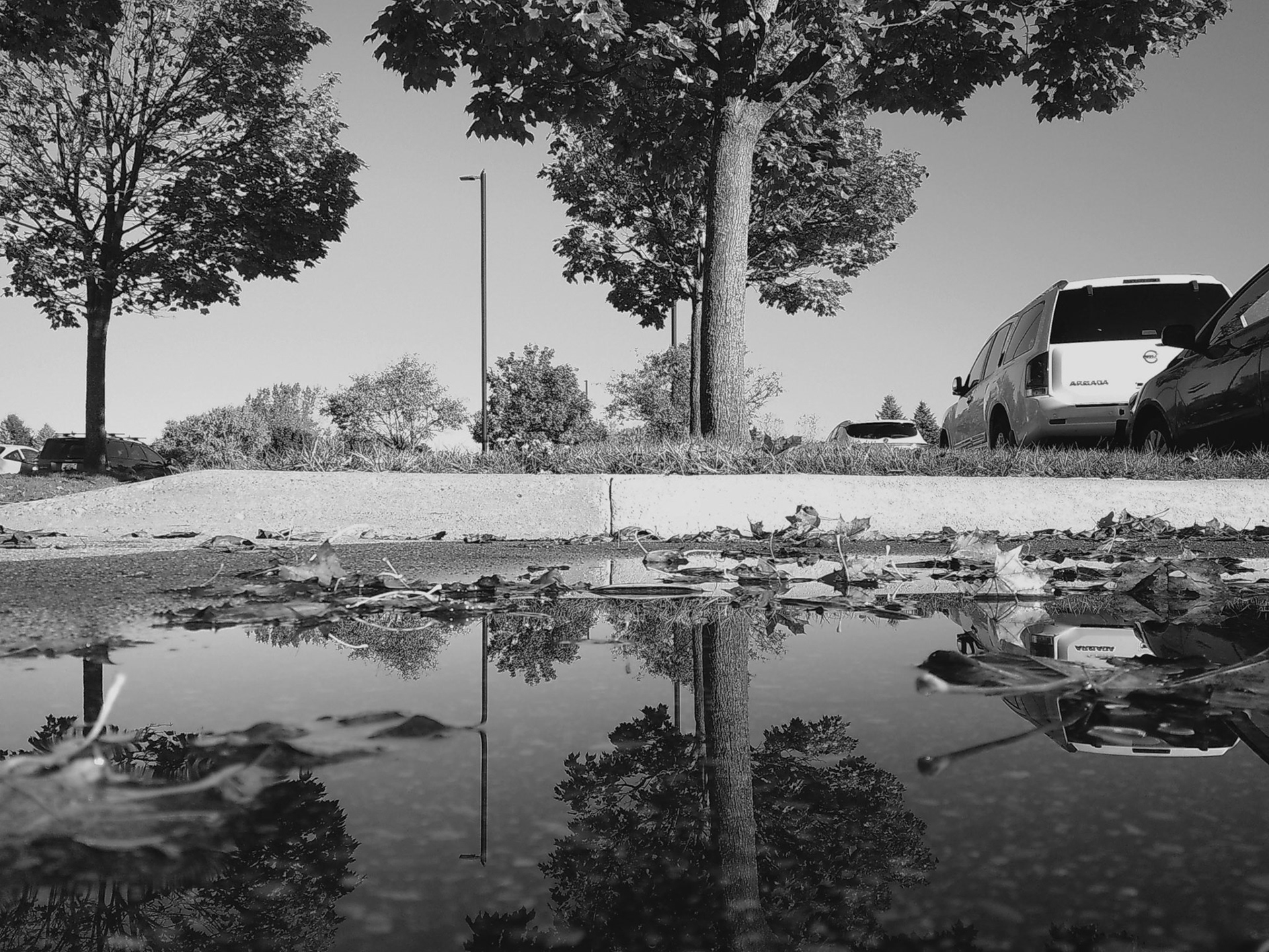 (Photo by Ayla Gerken)