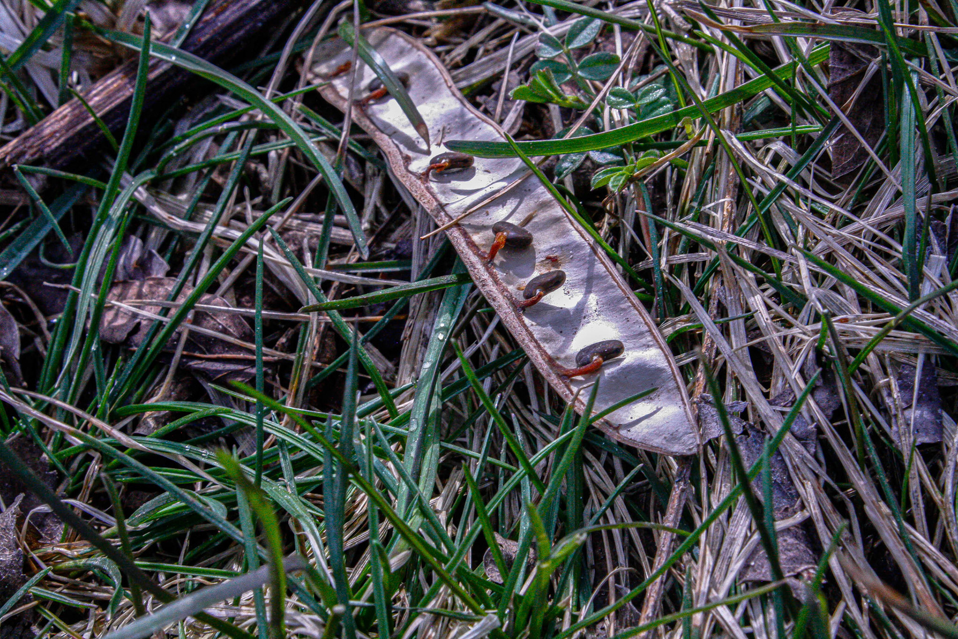 (Photo by Maliyah Gebremariam)