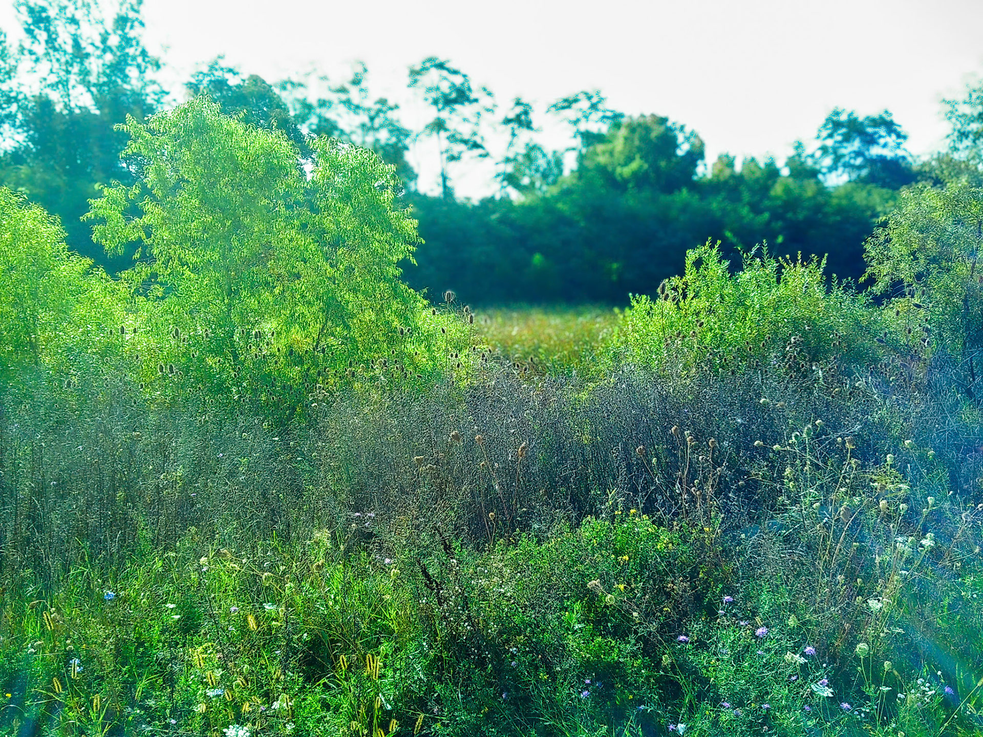 (Photo by Jagger Burnes)