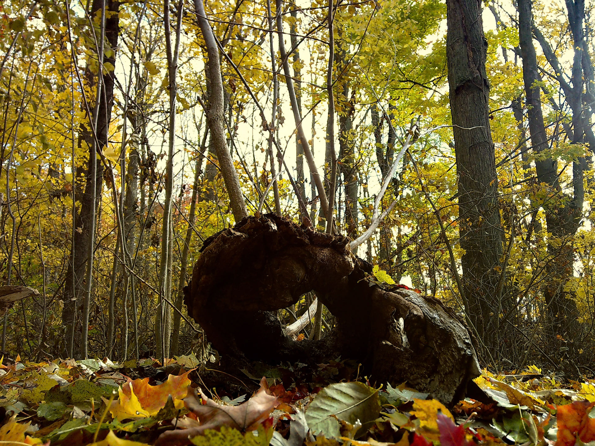 (Photo by Erik Cove)