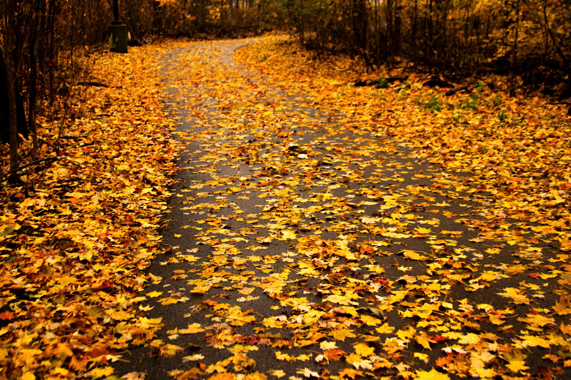 (Photo by Juliana Apo)