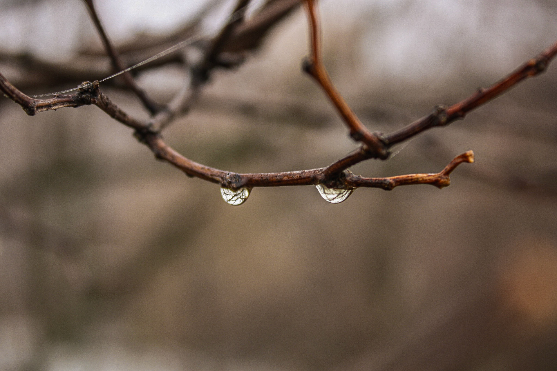 (Photo by Maliyah Gebremariam)