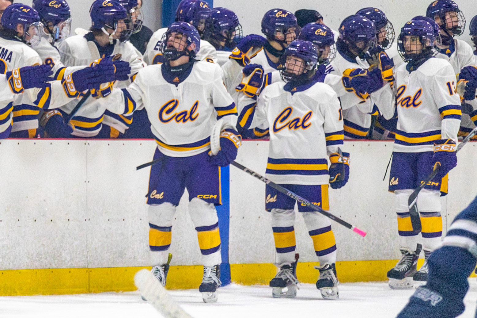 After Ty Lewandowski’s goal, the line heads to the bench to celebrate Caledonia's first goal against Marysville. (Photo by Avarey Lippert)