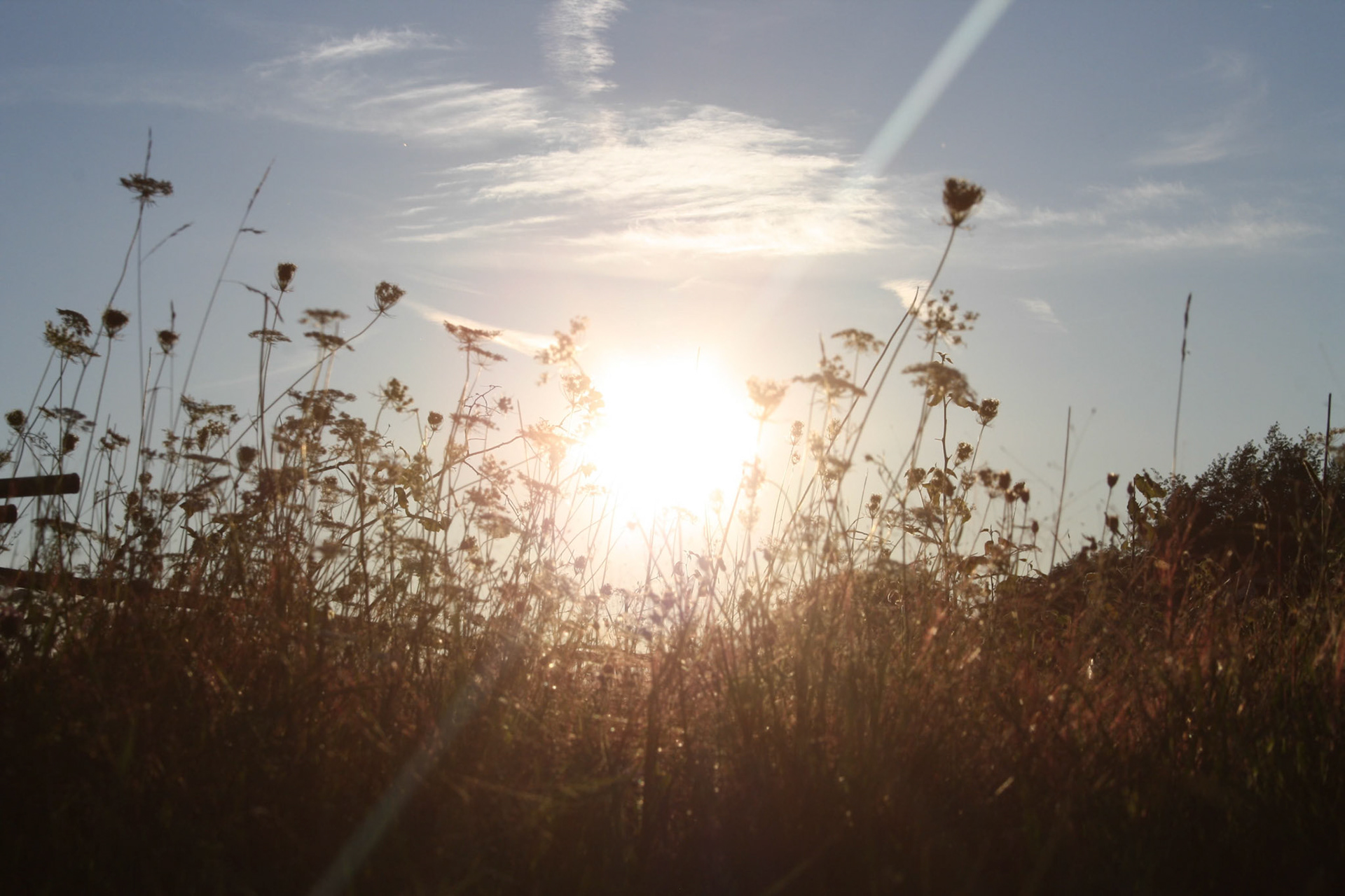 (Photo by Felicity Fanco)