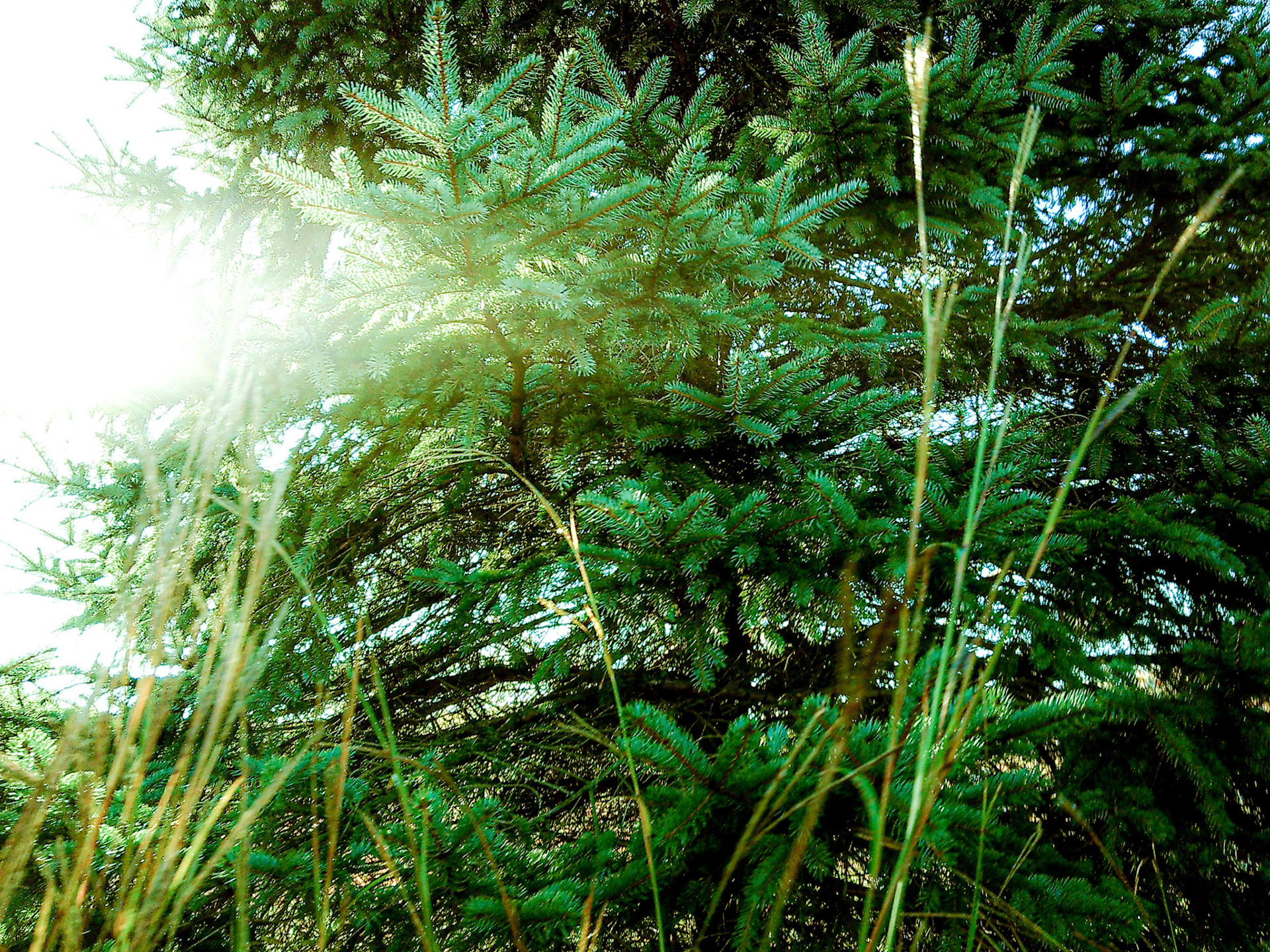 (Photo by Jagger Burnes)