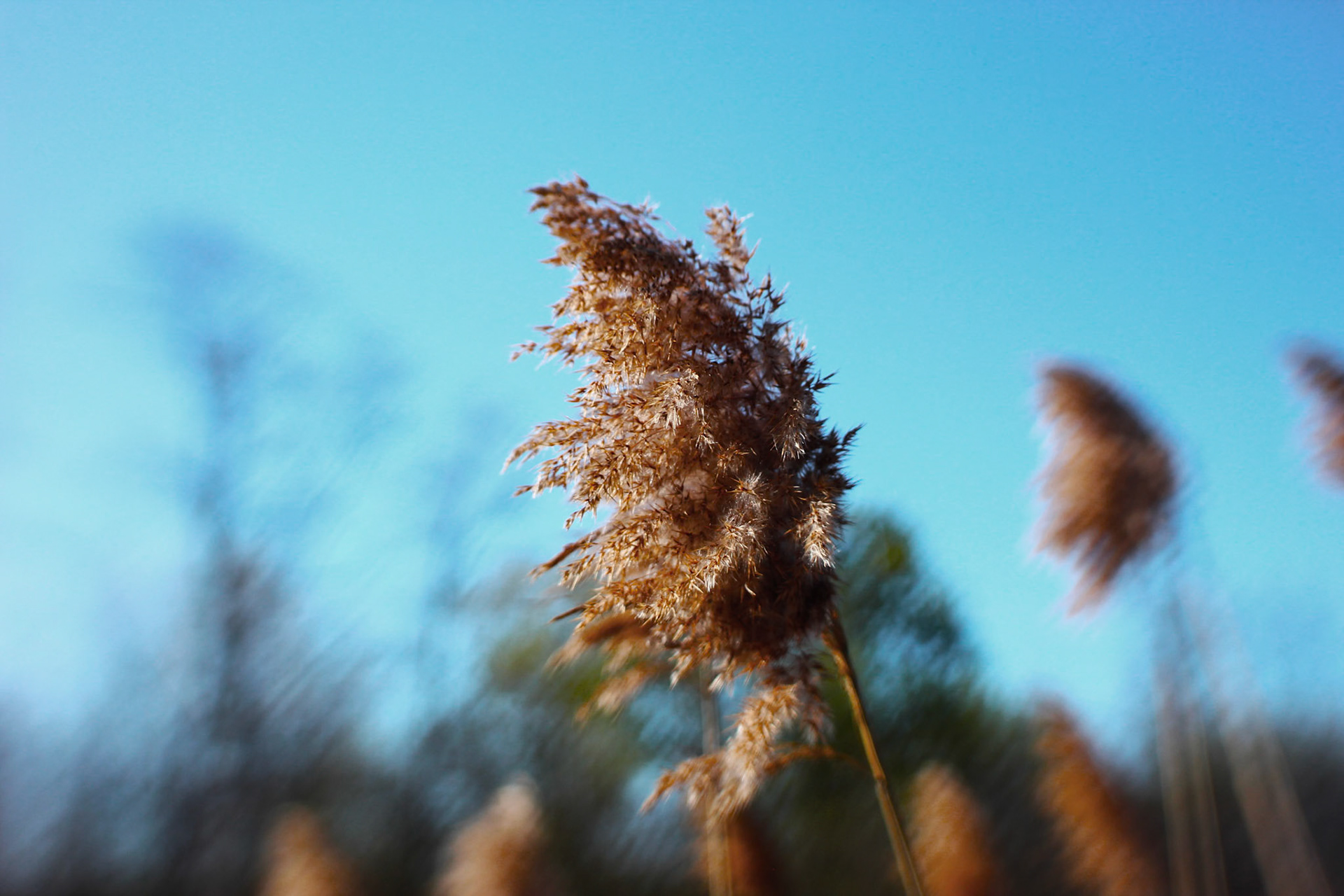 (Photo by Jordan Trice)