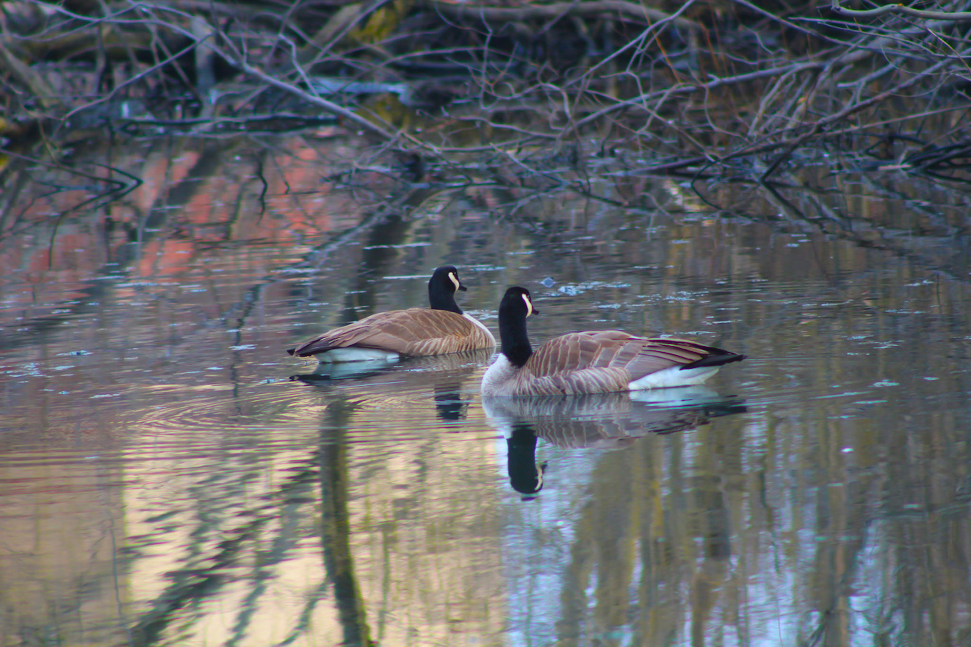 (Photo by Jorden Trice)