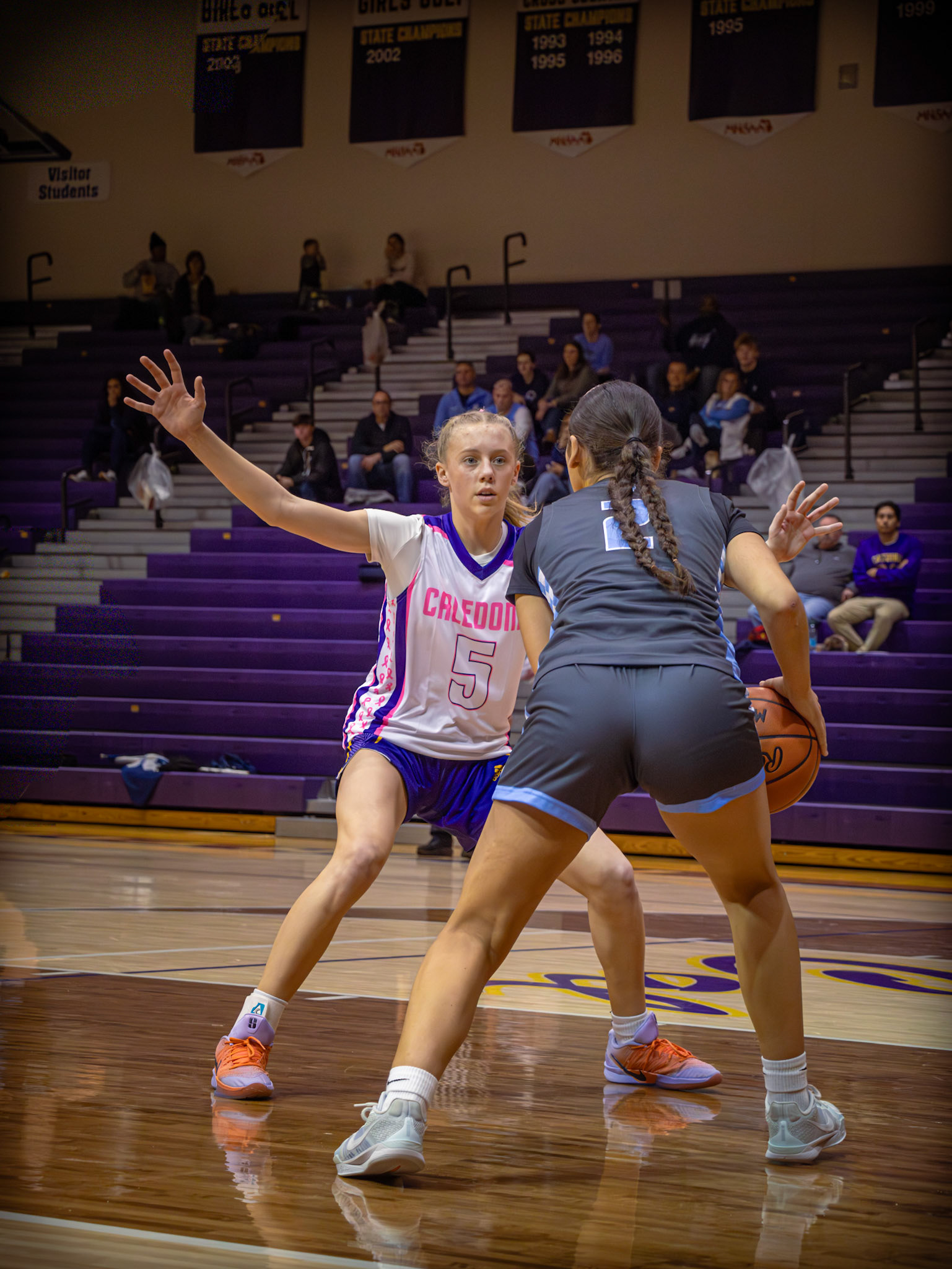 Nothing gets past Reese Abbott as she holds her arms high in a defensive stance. (Photo by Aibree Akers)