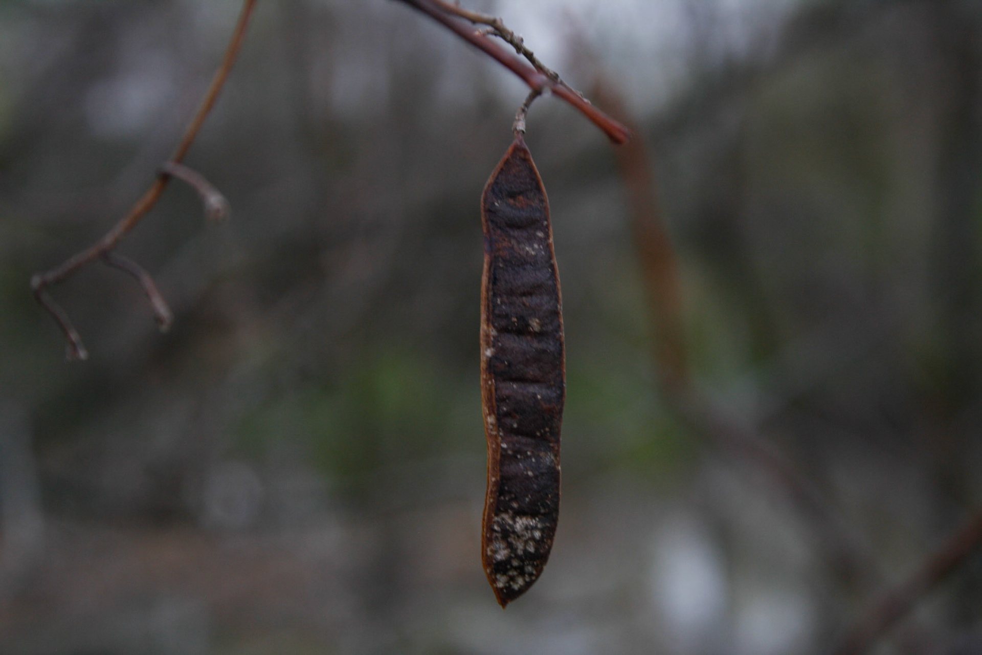 (Photo by Wyatt Hibbitts)