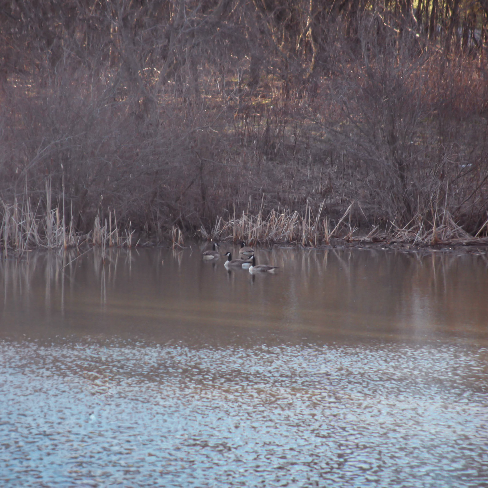 (Photo by Quentin Raffler)