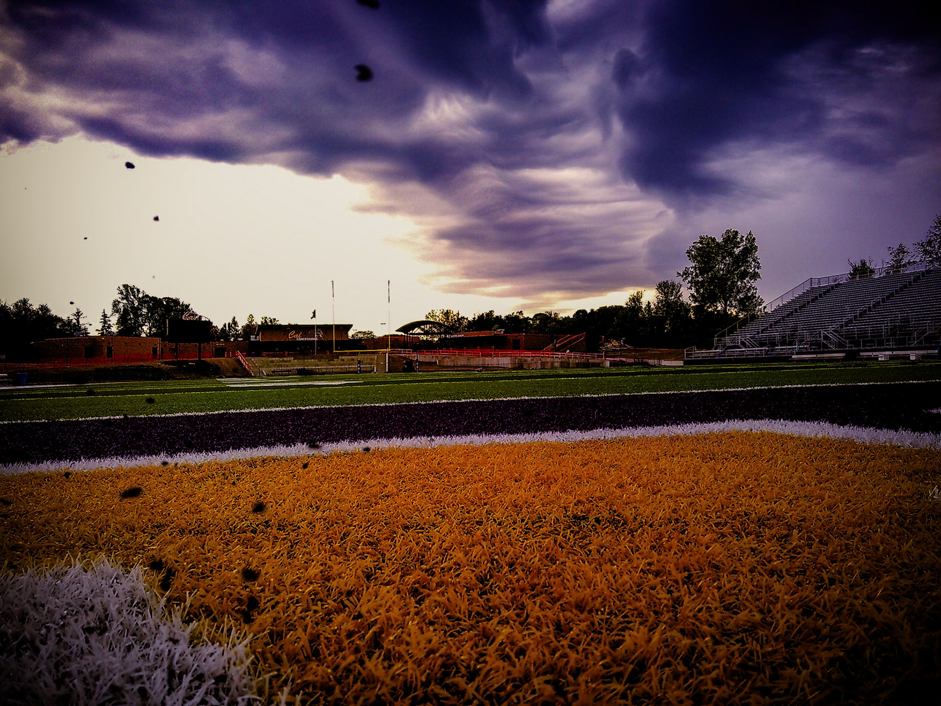 (Photo by Maddi Triebel)