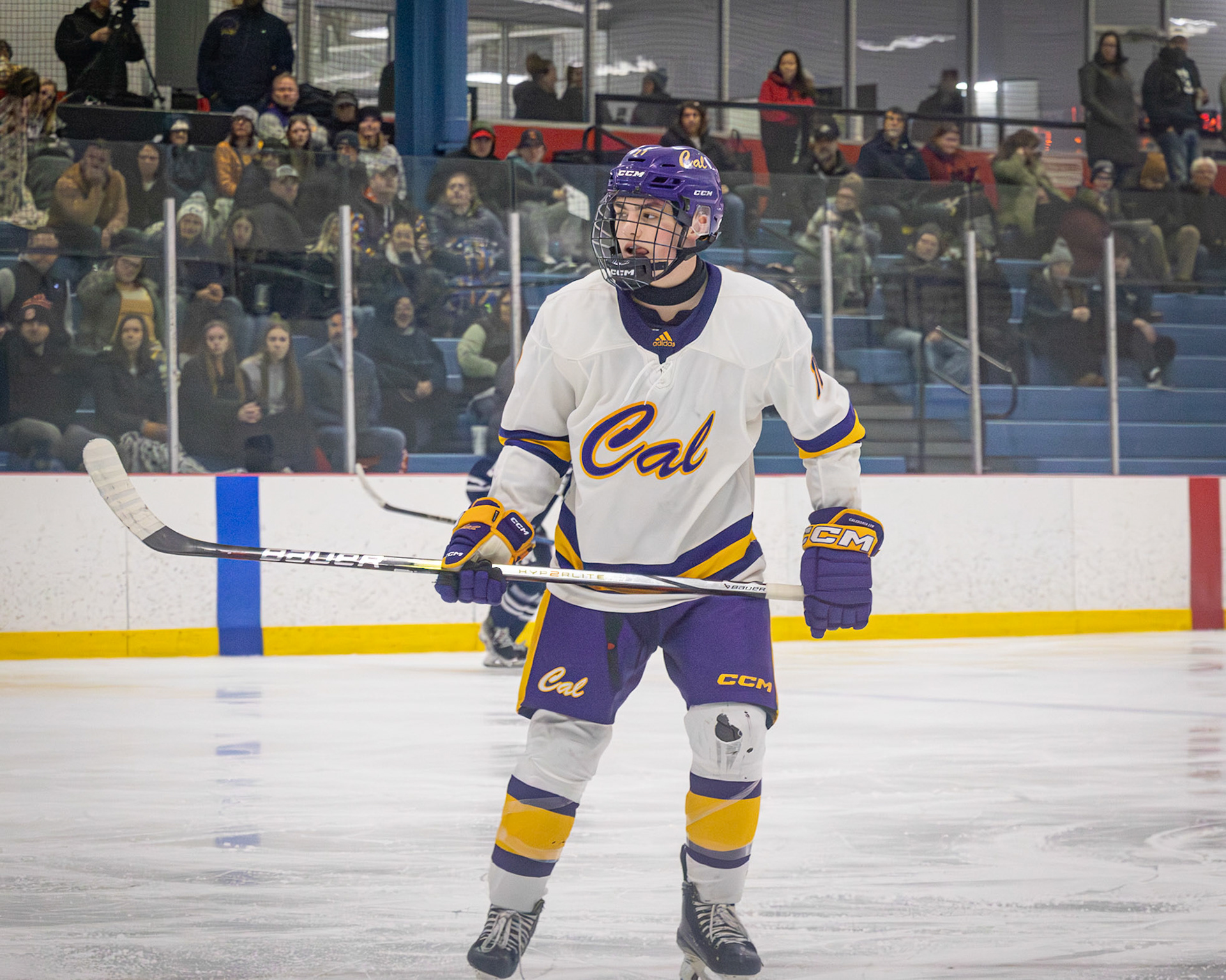 Keeping a close eye on the puck Ty Lewandowski keeps a close watch deciding his next move. (Photo by Ella-Grace Wickens)