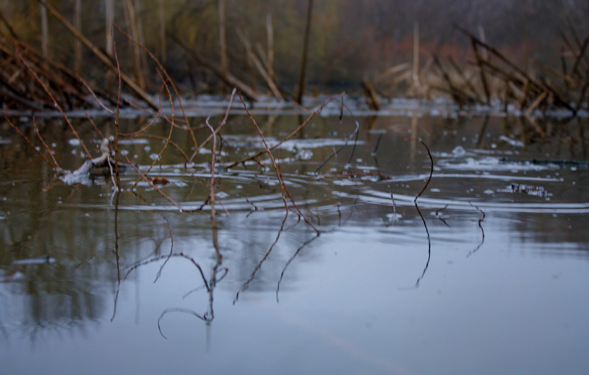 (Photo by Wyatt Hibbitts)