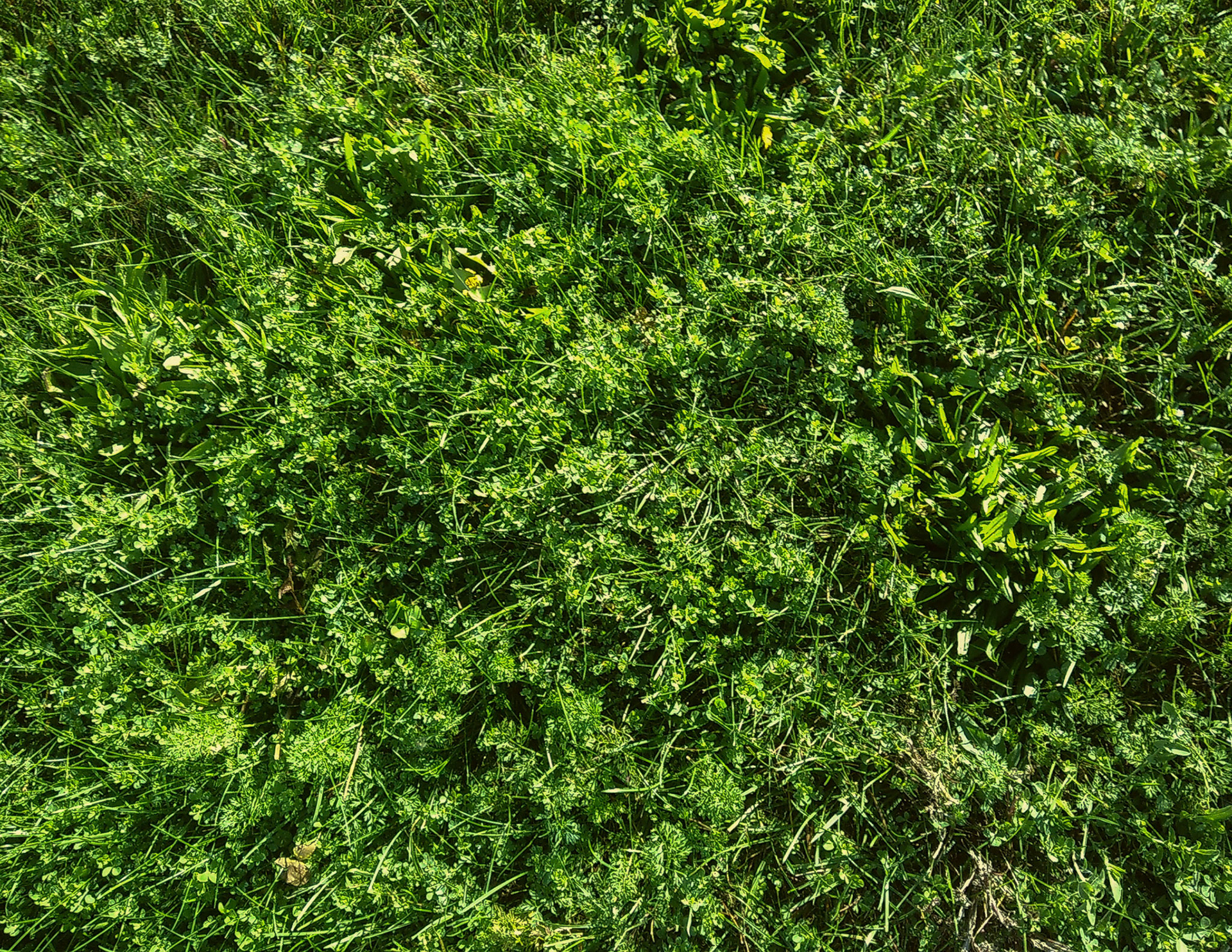 (Photo by Lena Gesing)