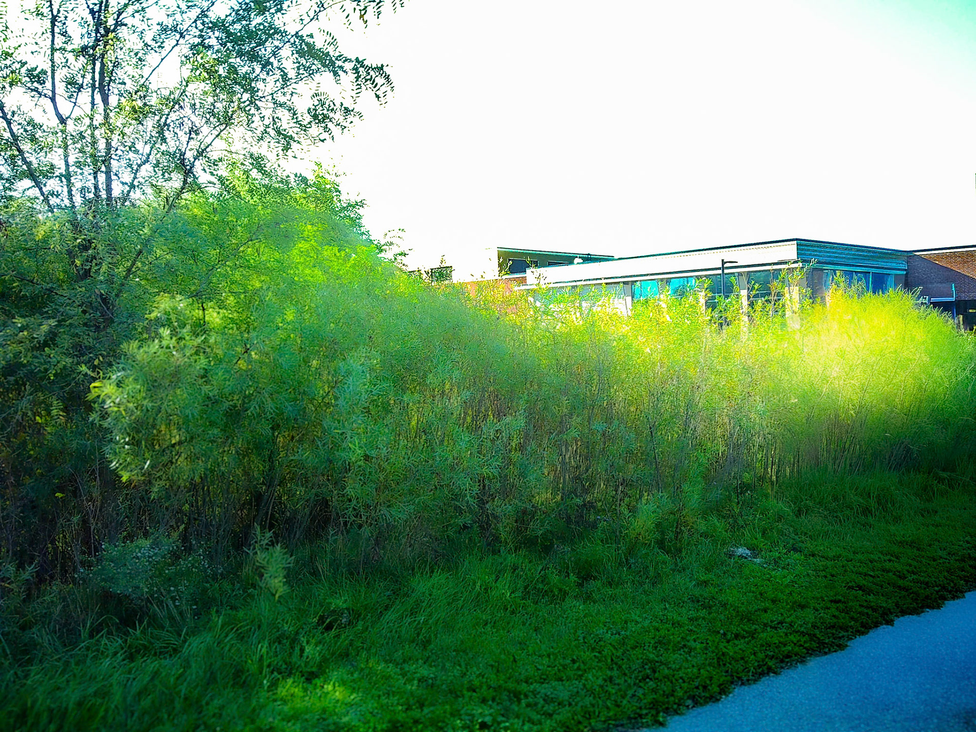 (Photo by Jagger Burnes)