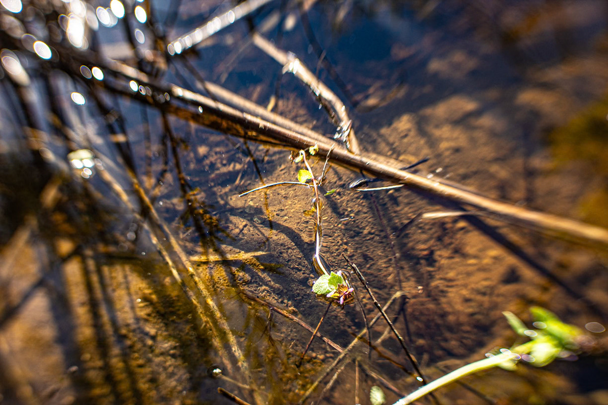 (Photo by Easton Miller)