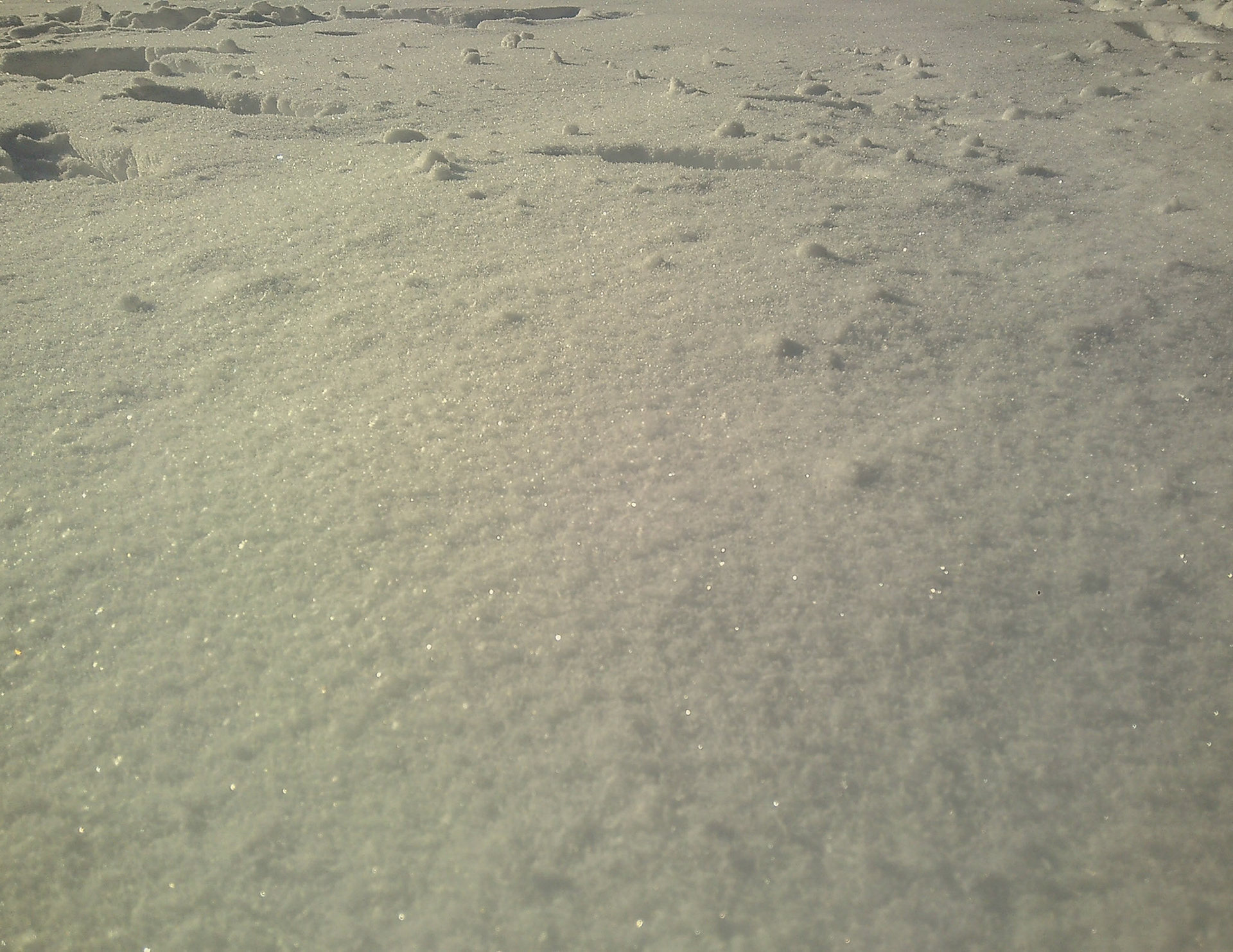 (Photo by Lena Gesing)