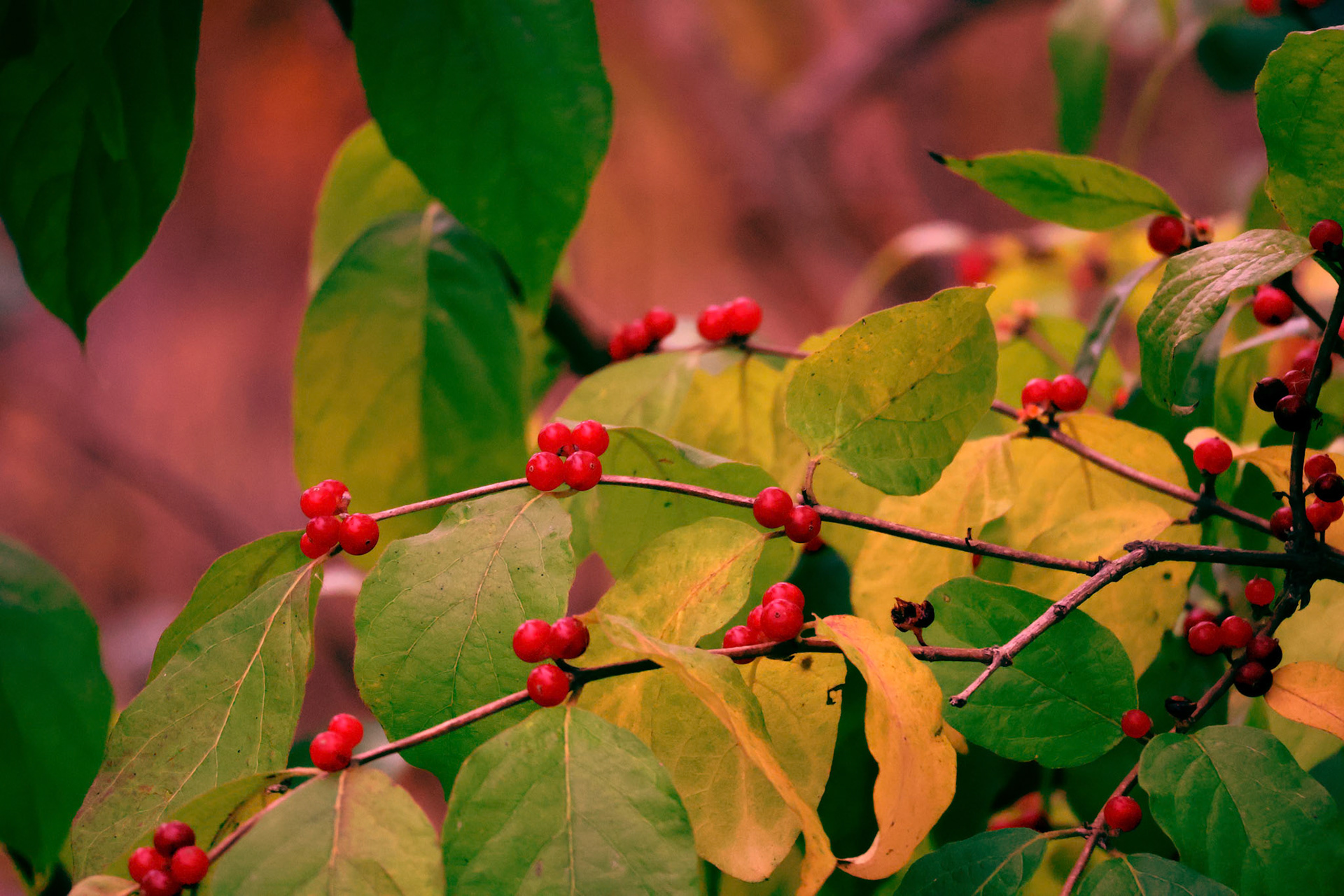 (Photo by Ashlyn Nichols)