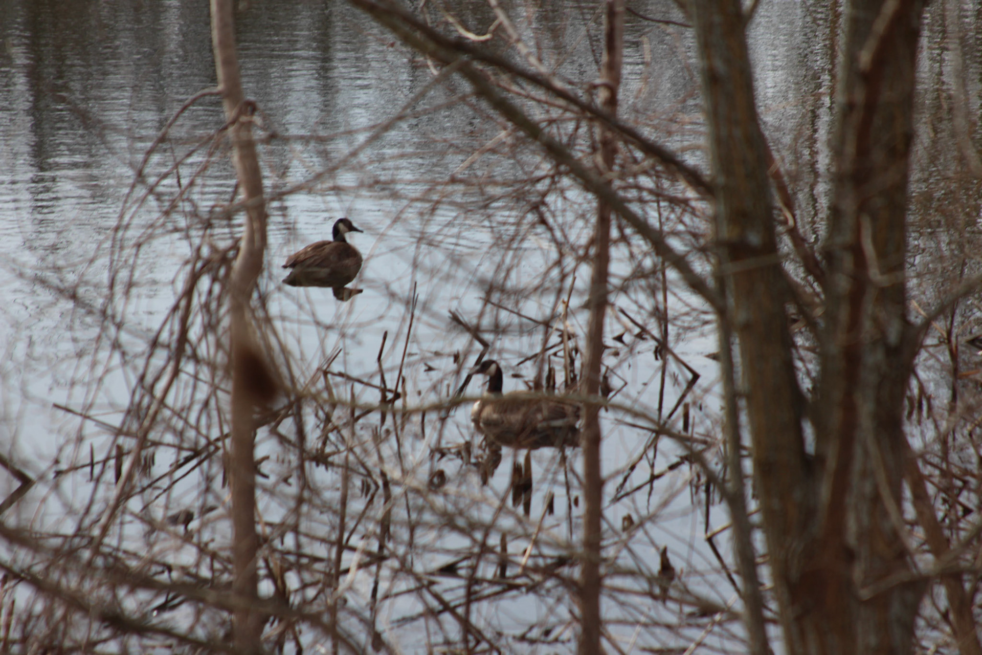 (Photo by Owen Bennett)