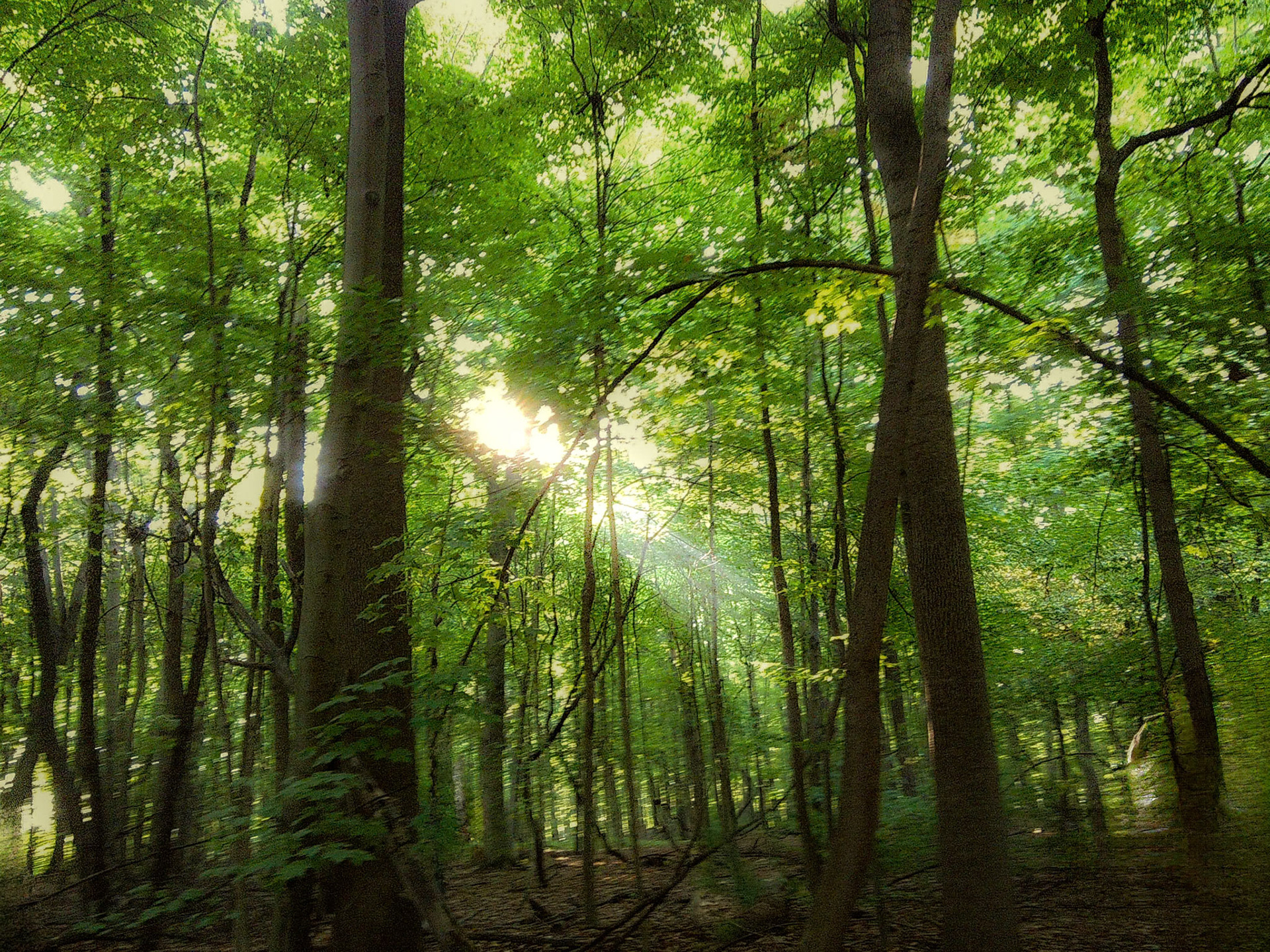 (Photo by Stephanie Juarez)