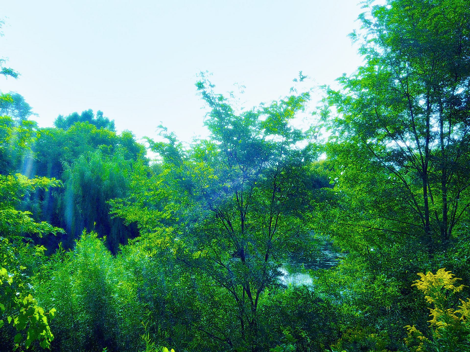 (Photo by Gavin Vanderhoff)