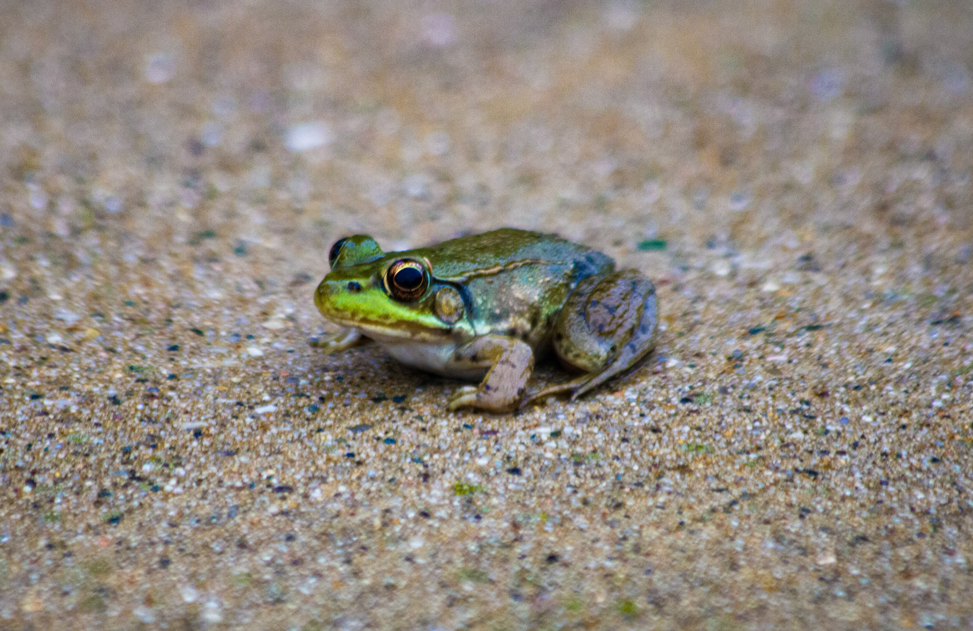 (Photo by Joe Visel)