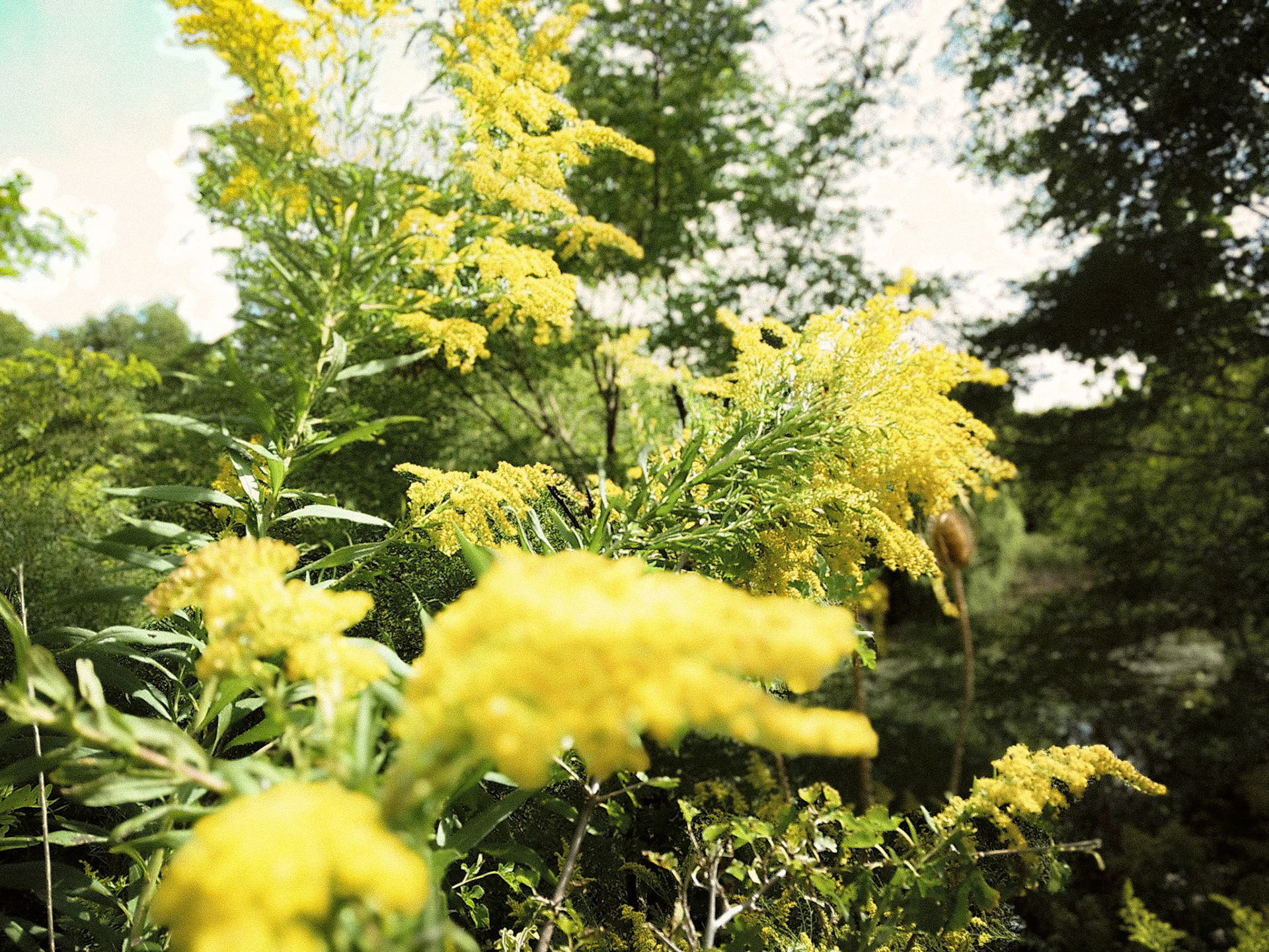 (Photo by Sophia Myers)