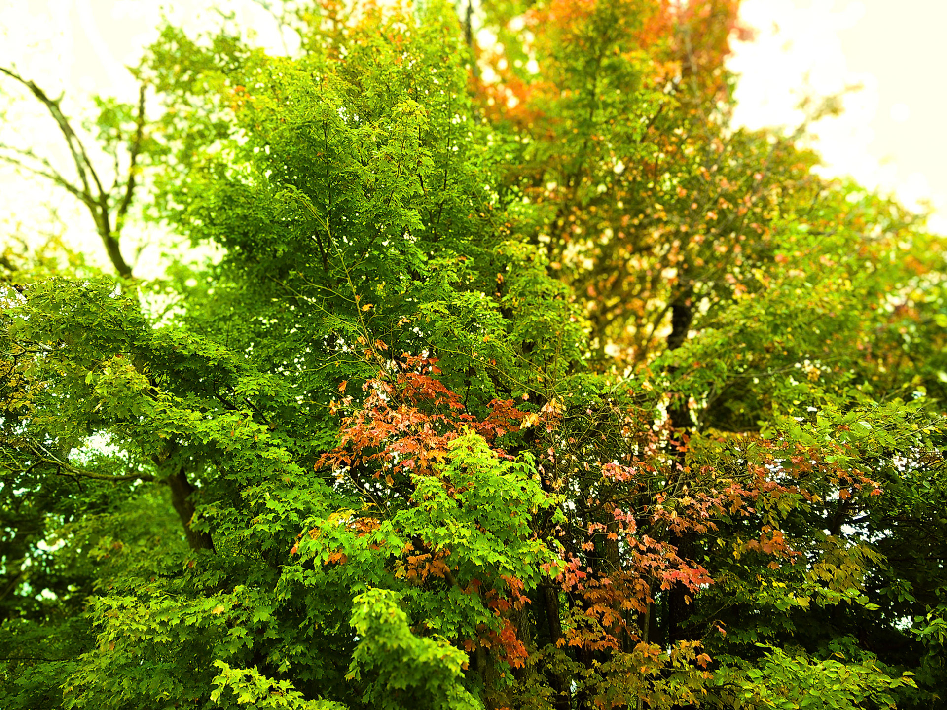 (Photo by Jagger Burnes)