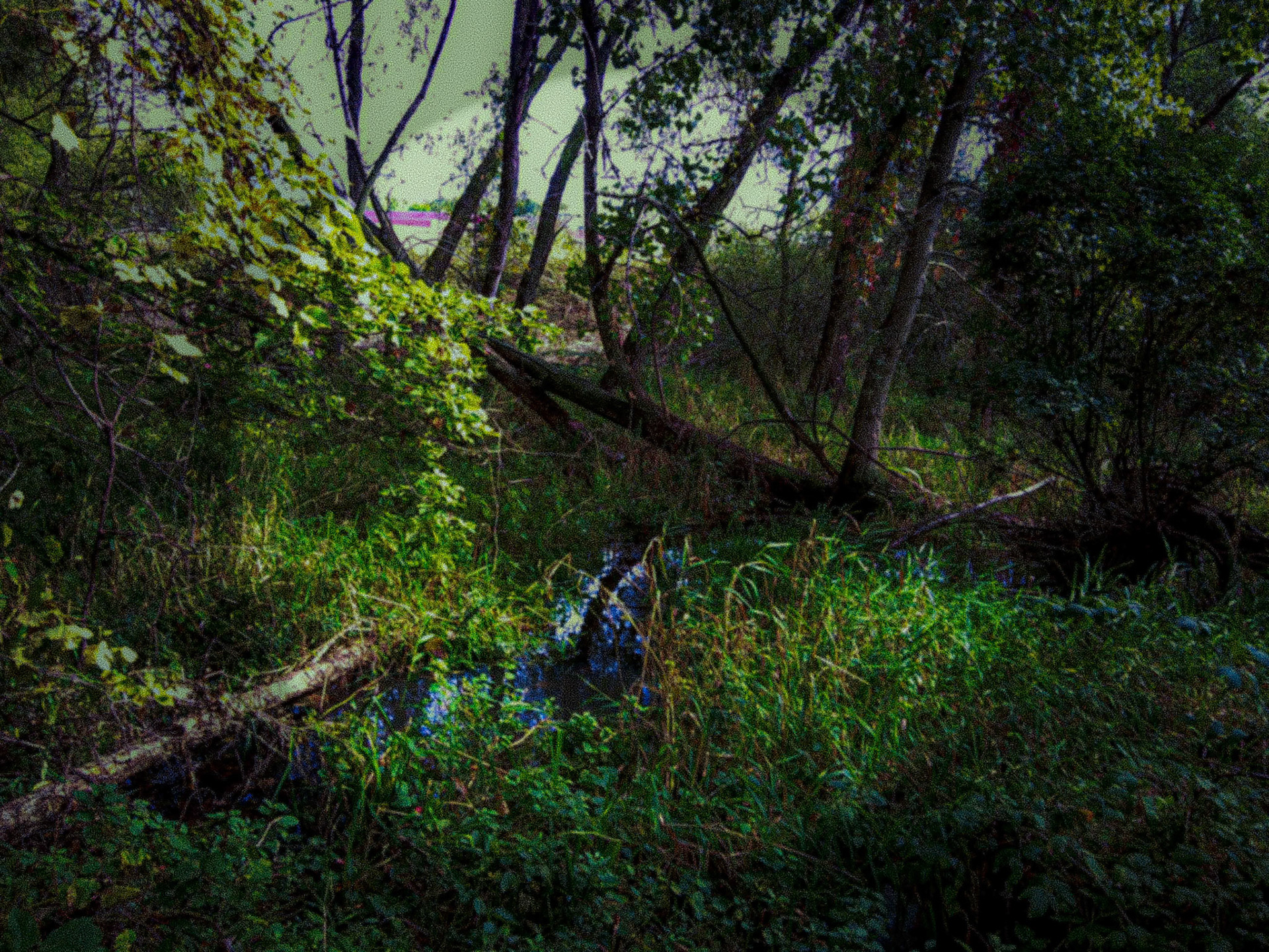 (Photo by Ethan Yarger)