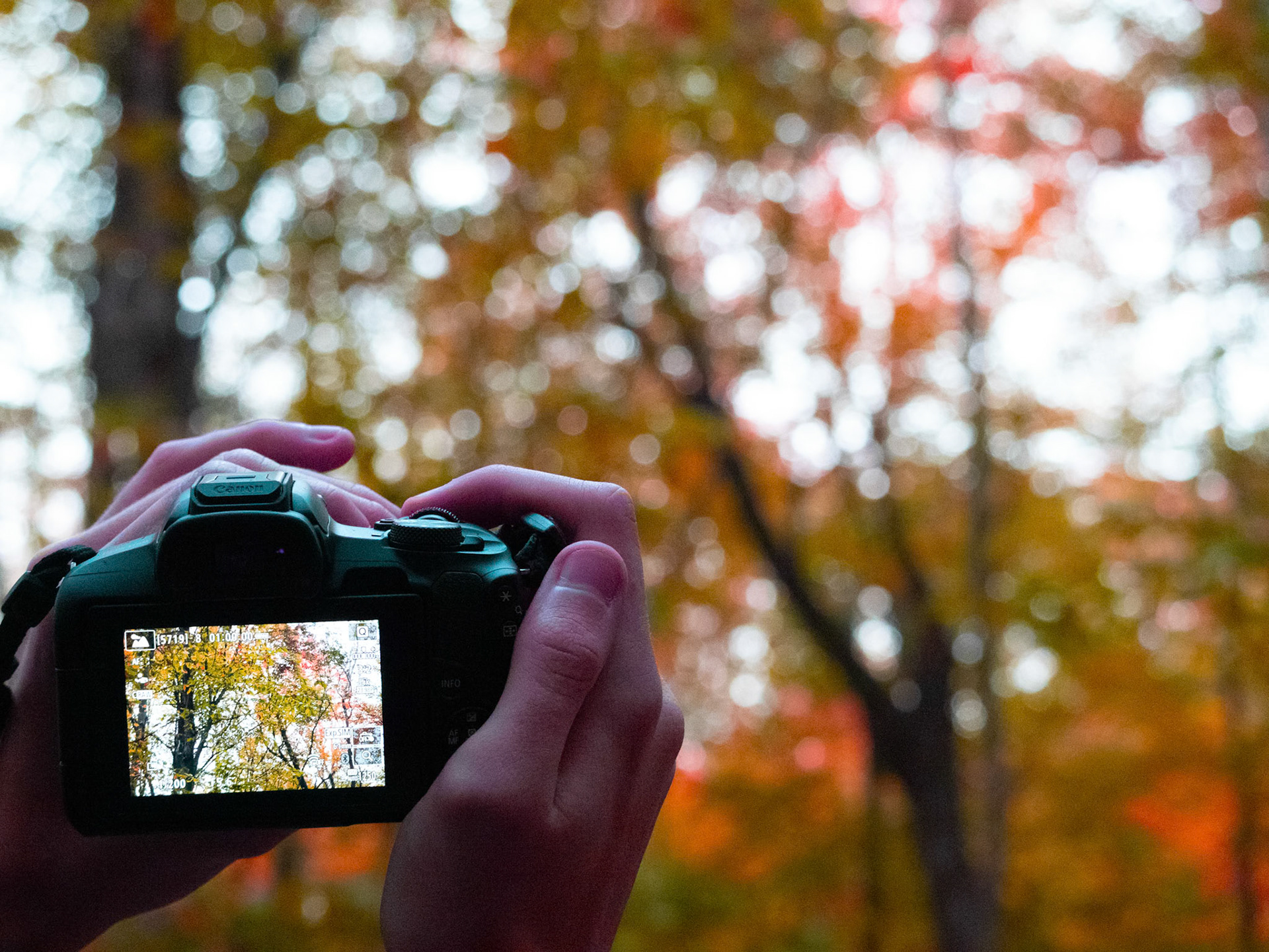 (Photo by Ayla Gerken)