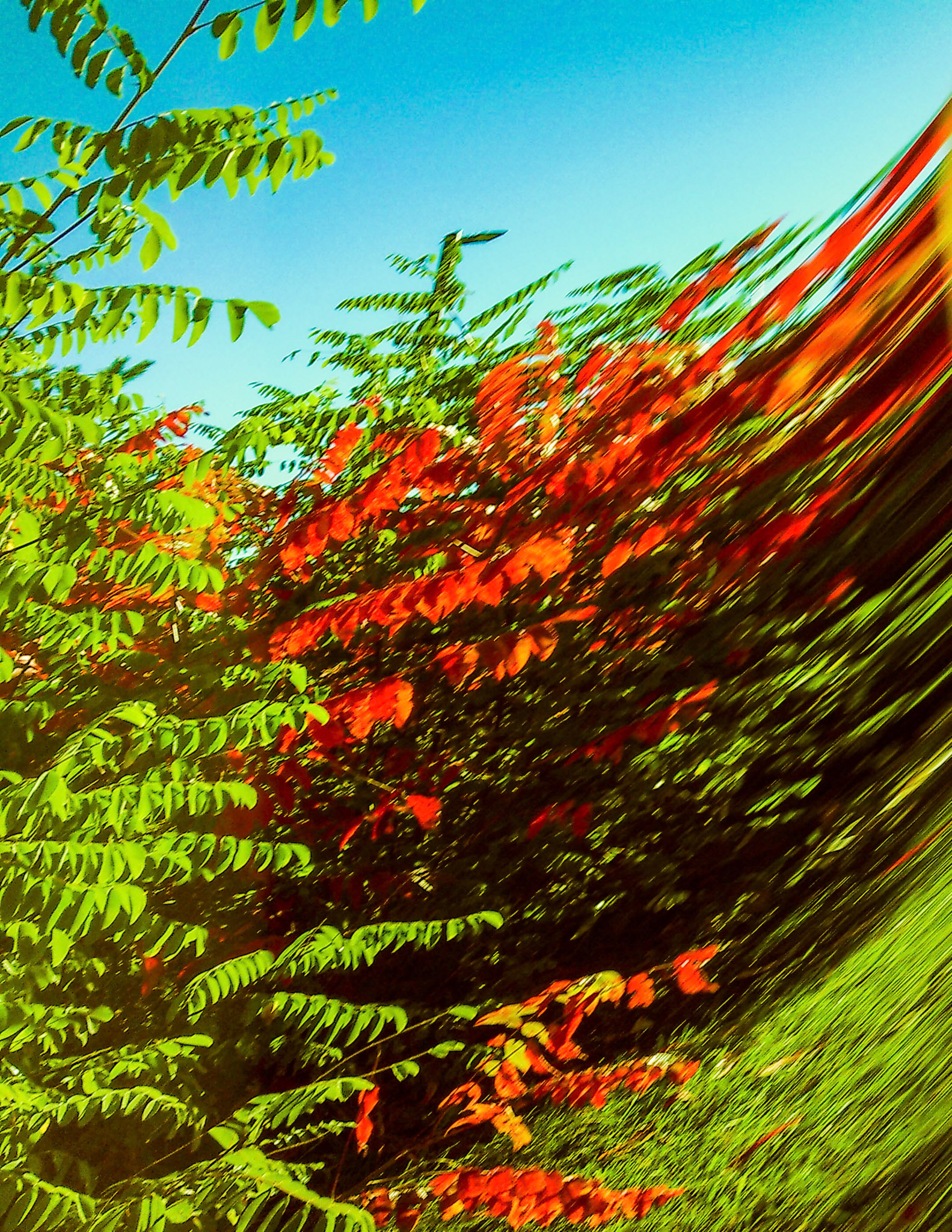 (Photo by Jolie King)