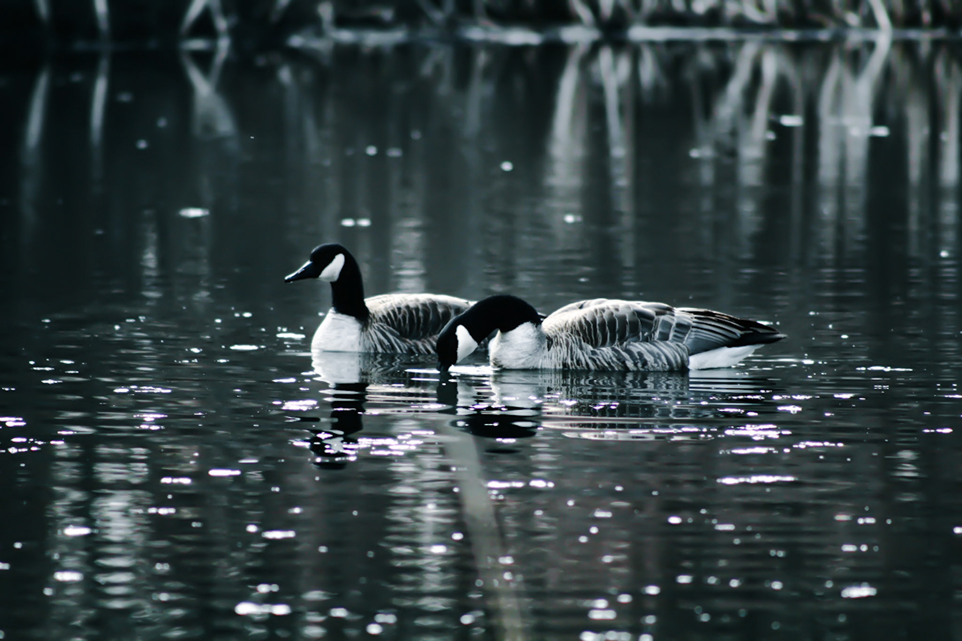 (Photo by Easton Miller)