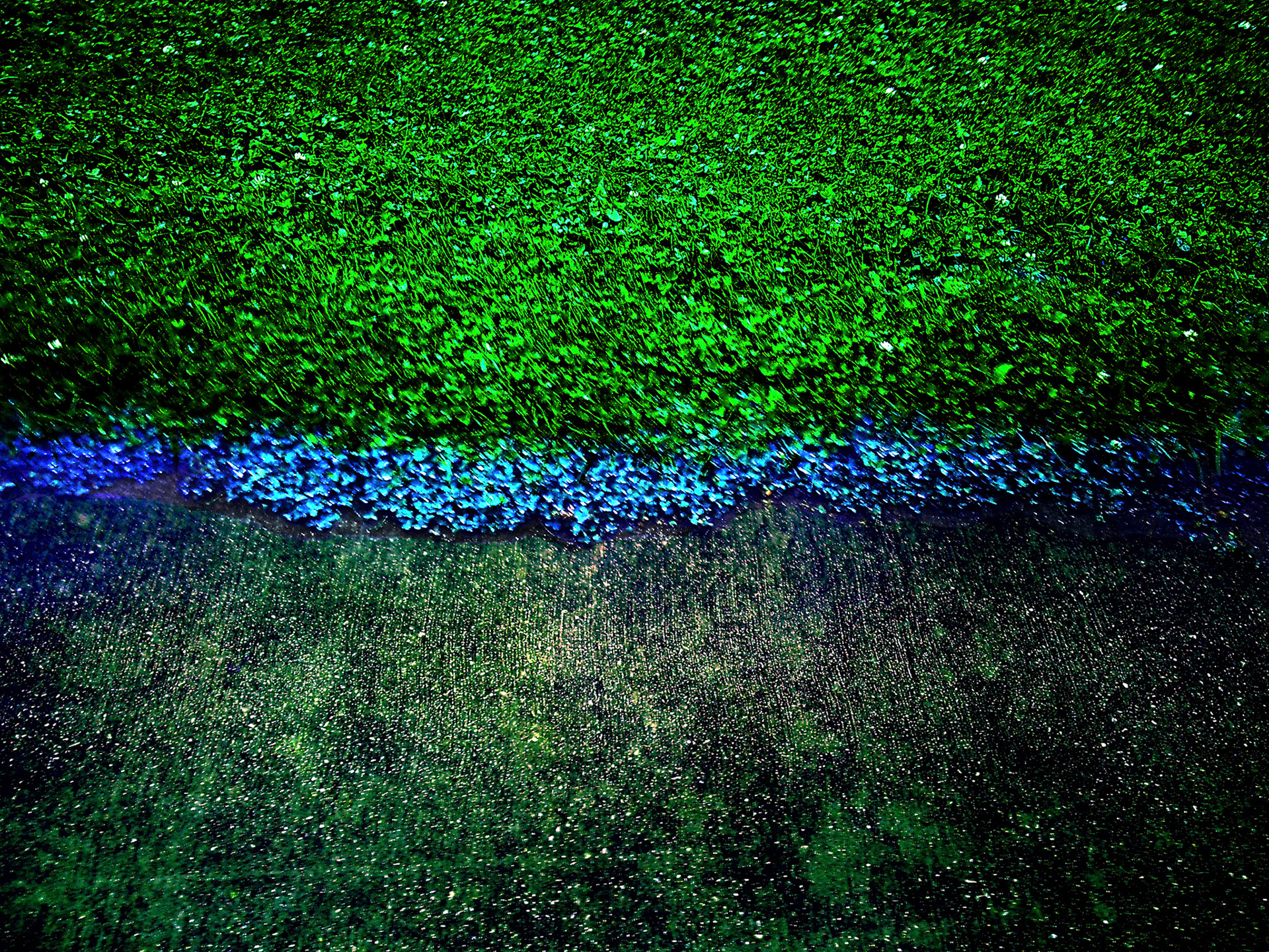 (Photo by Joell Gordon-Reyes)