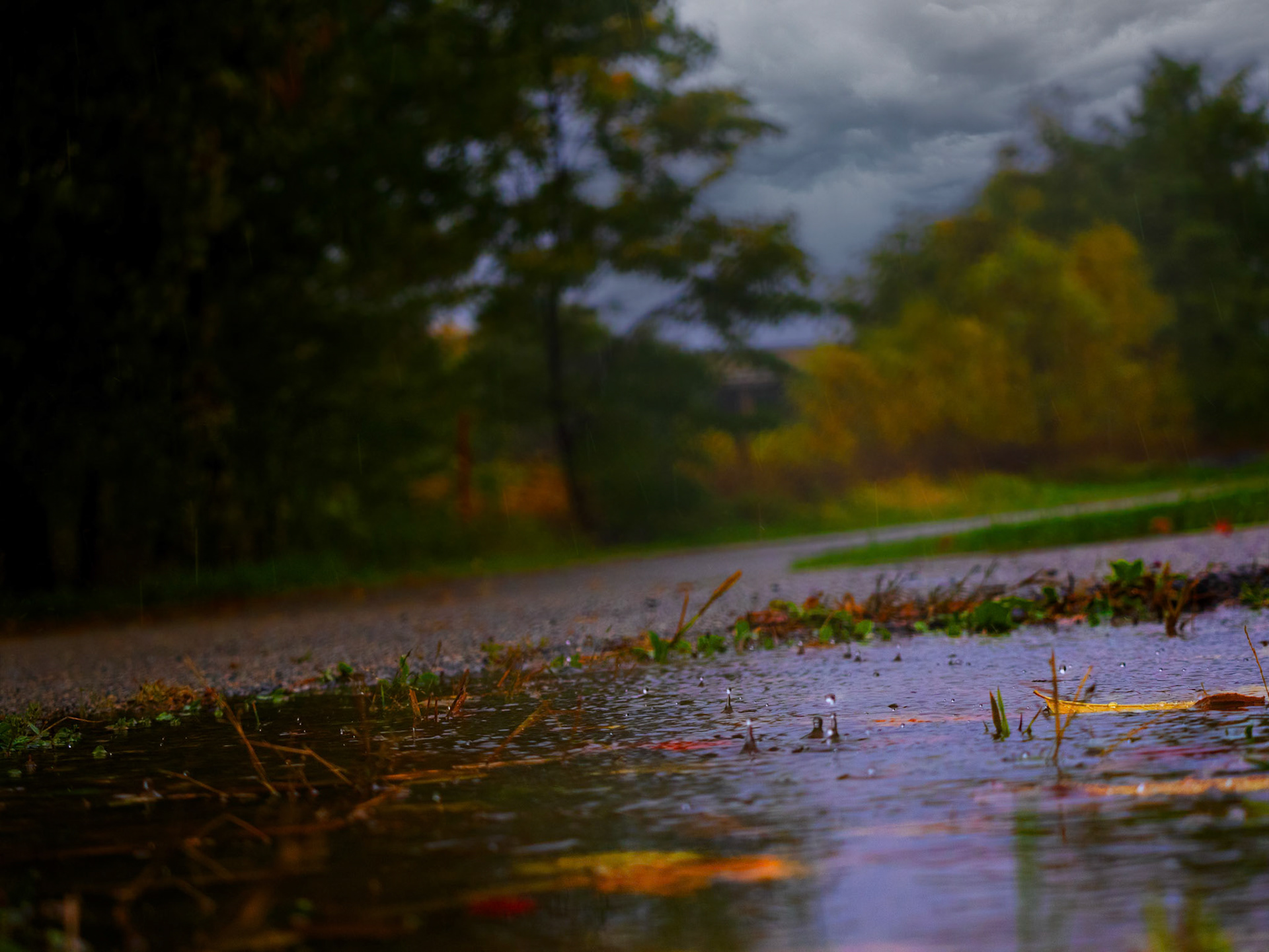 (Photo by Ayla Gerken)