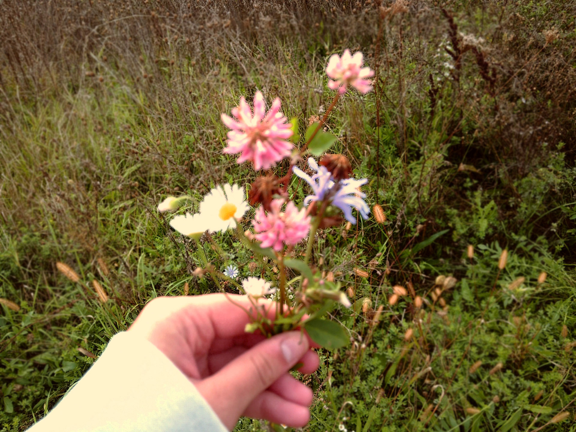 (Photo by Ayla Gerken)