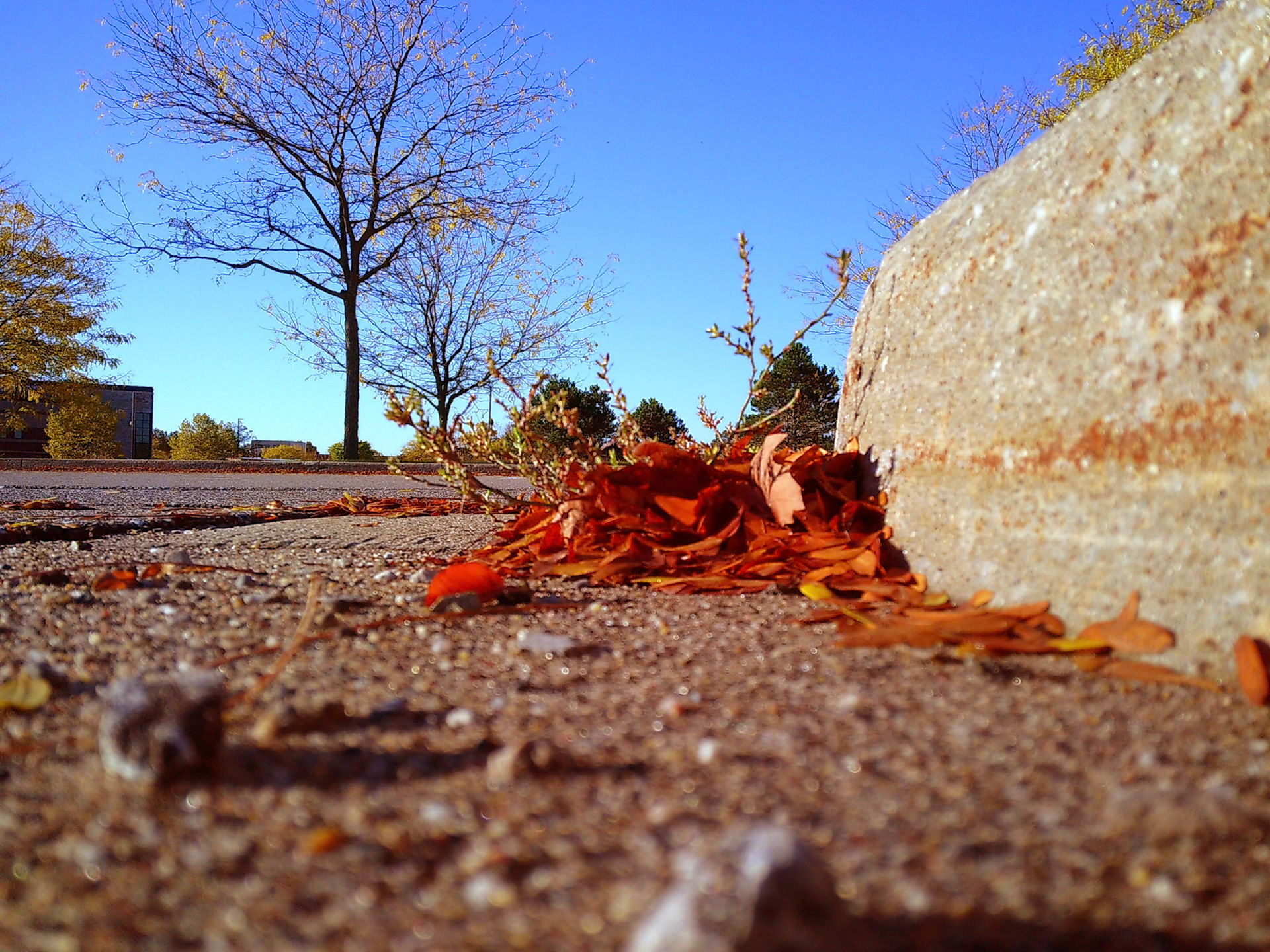 (Photo by Ashlyn Nichols)