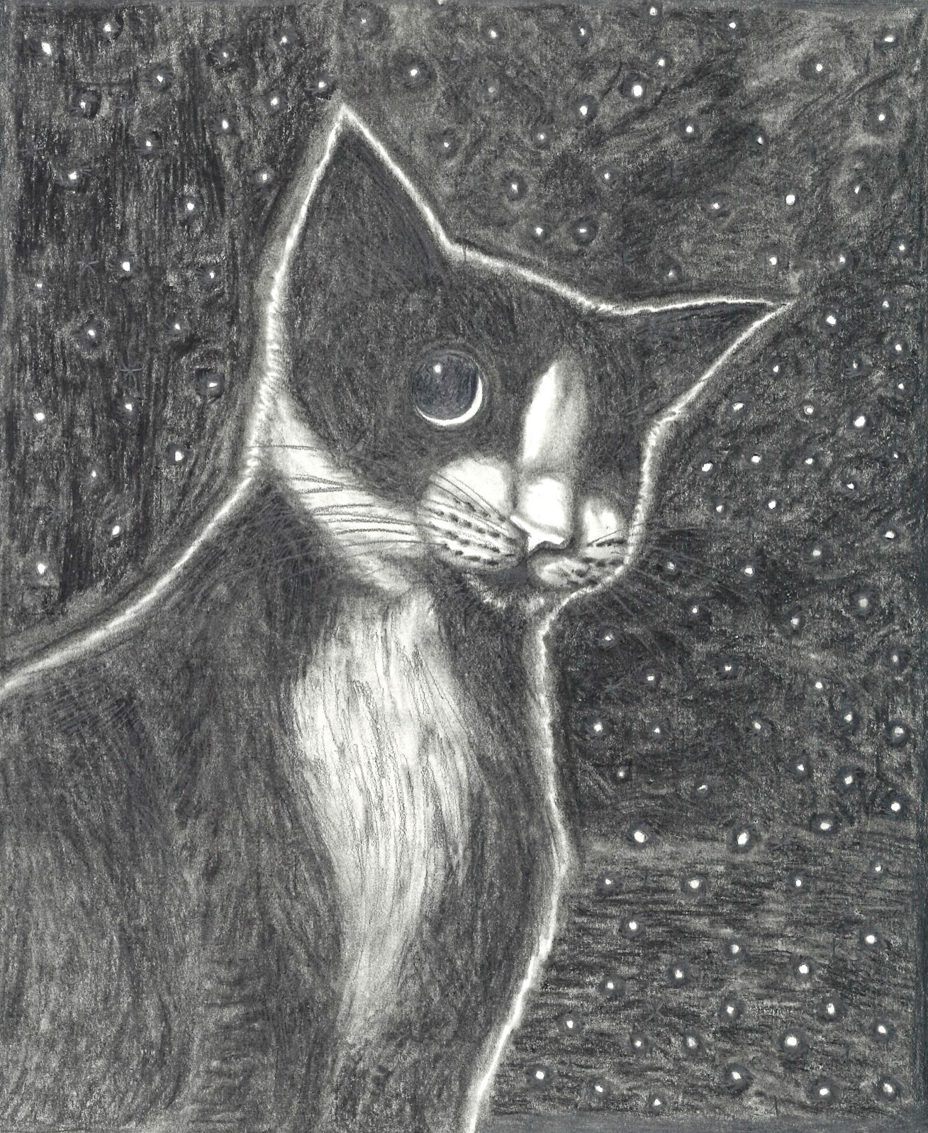 Graphite and Charcoal (Josie Endres)