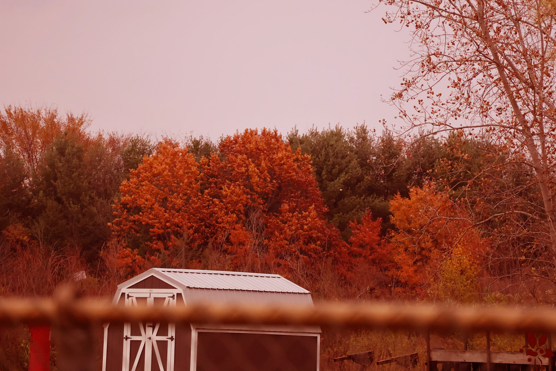 (Photo by Ashlyn Nichols)